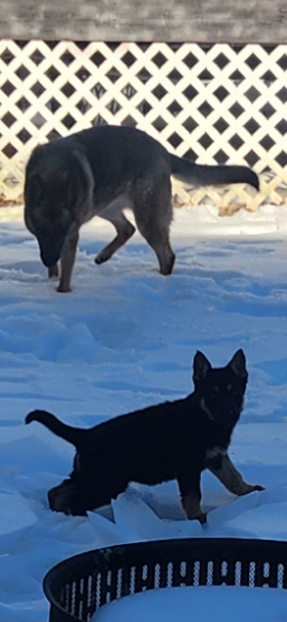 Photo Review Submission from Rebecca M