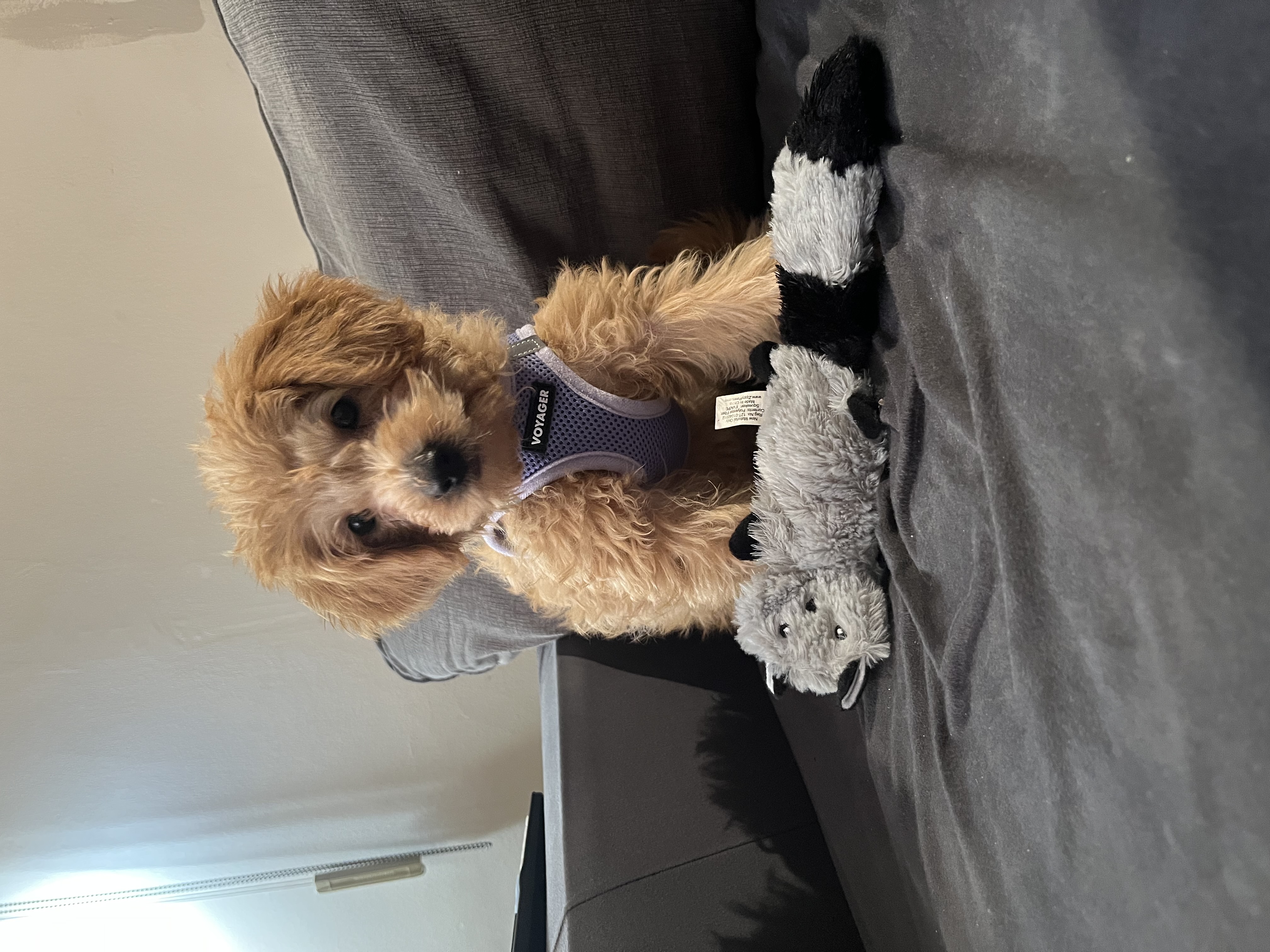 Photo Review Submission from Robyn D'Agostino