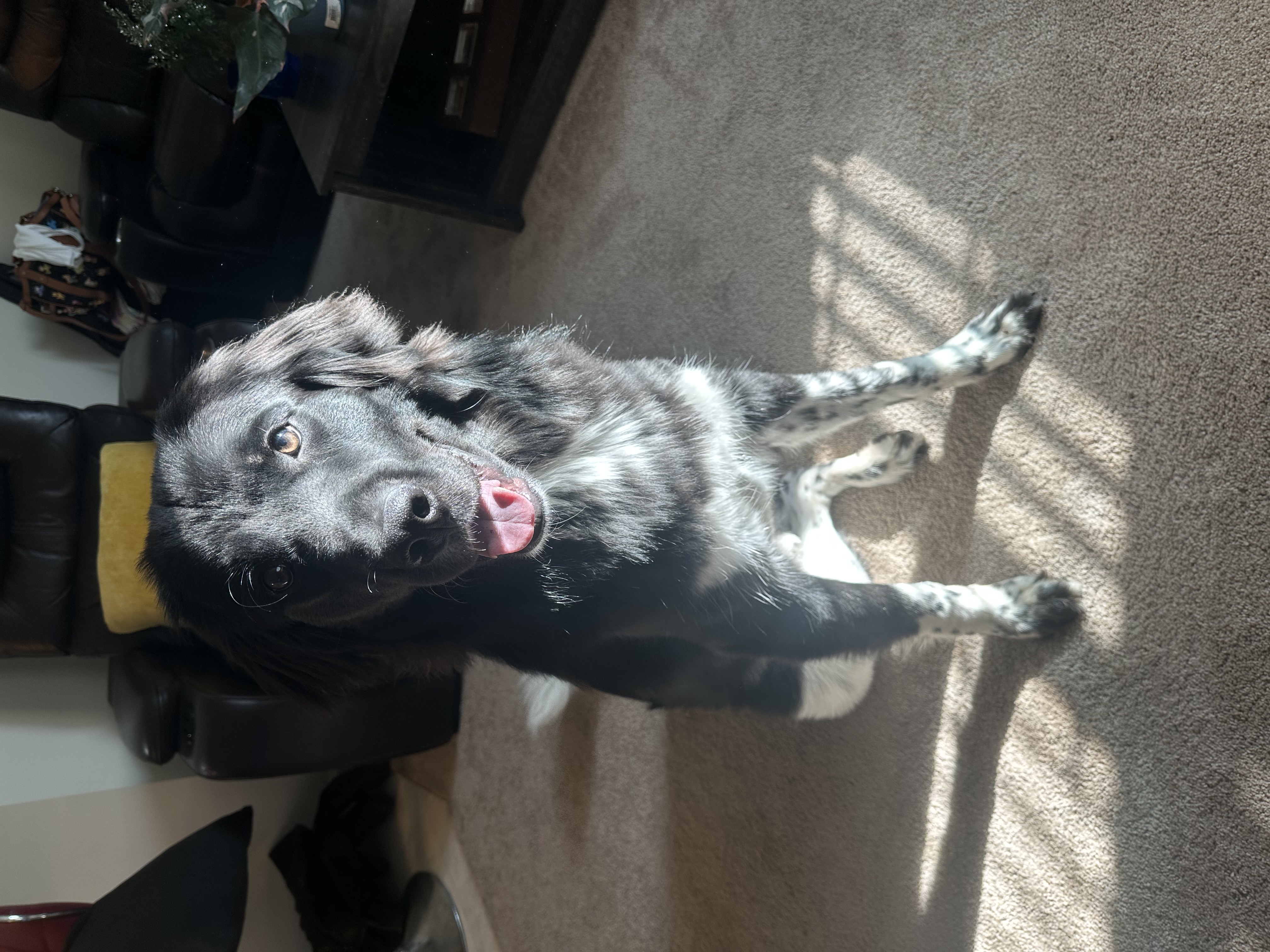 Photo Review Submission from EManuel Smith