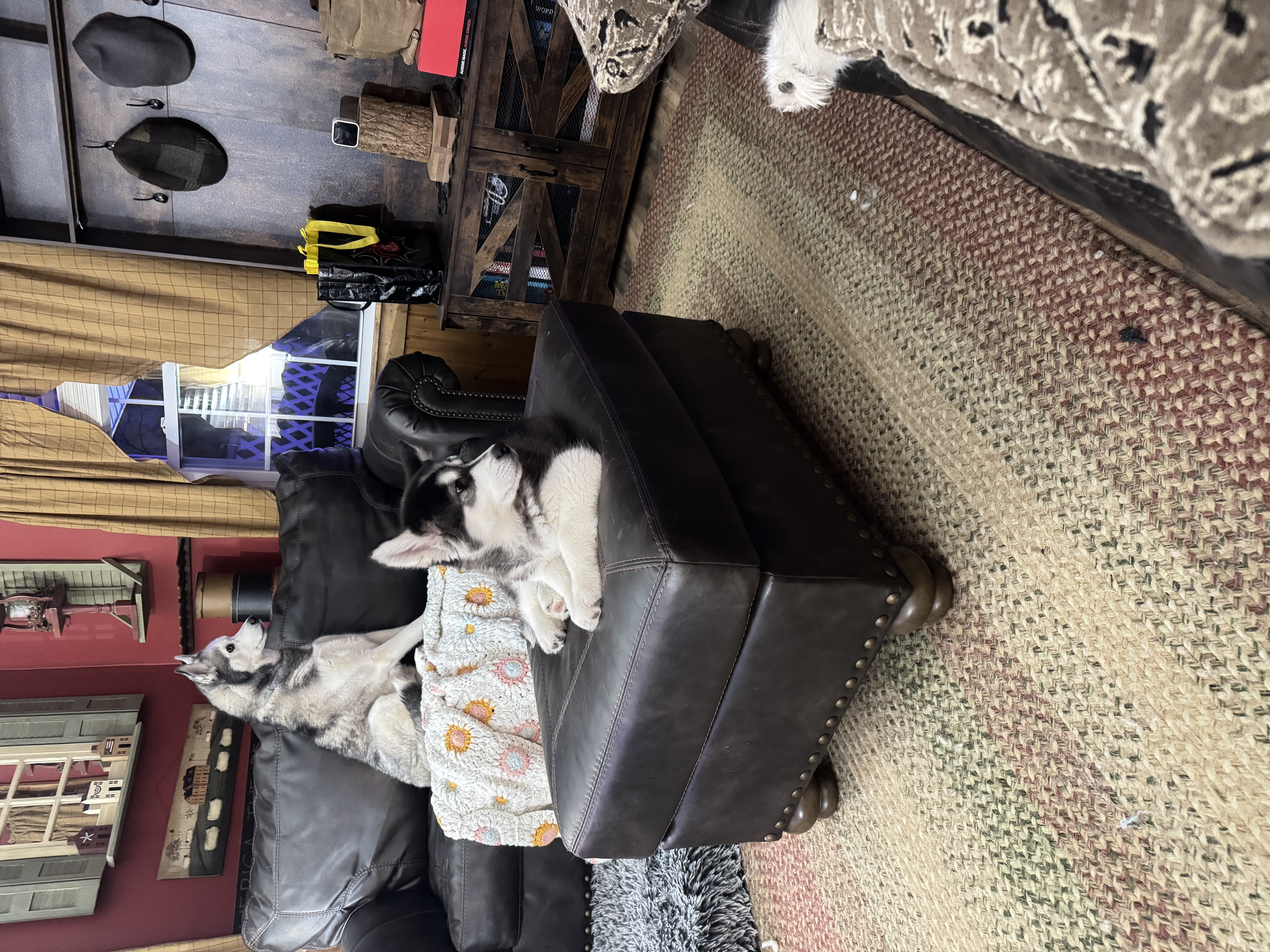 Photo Review Submission from John Laughlin