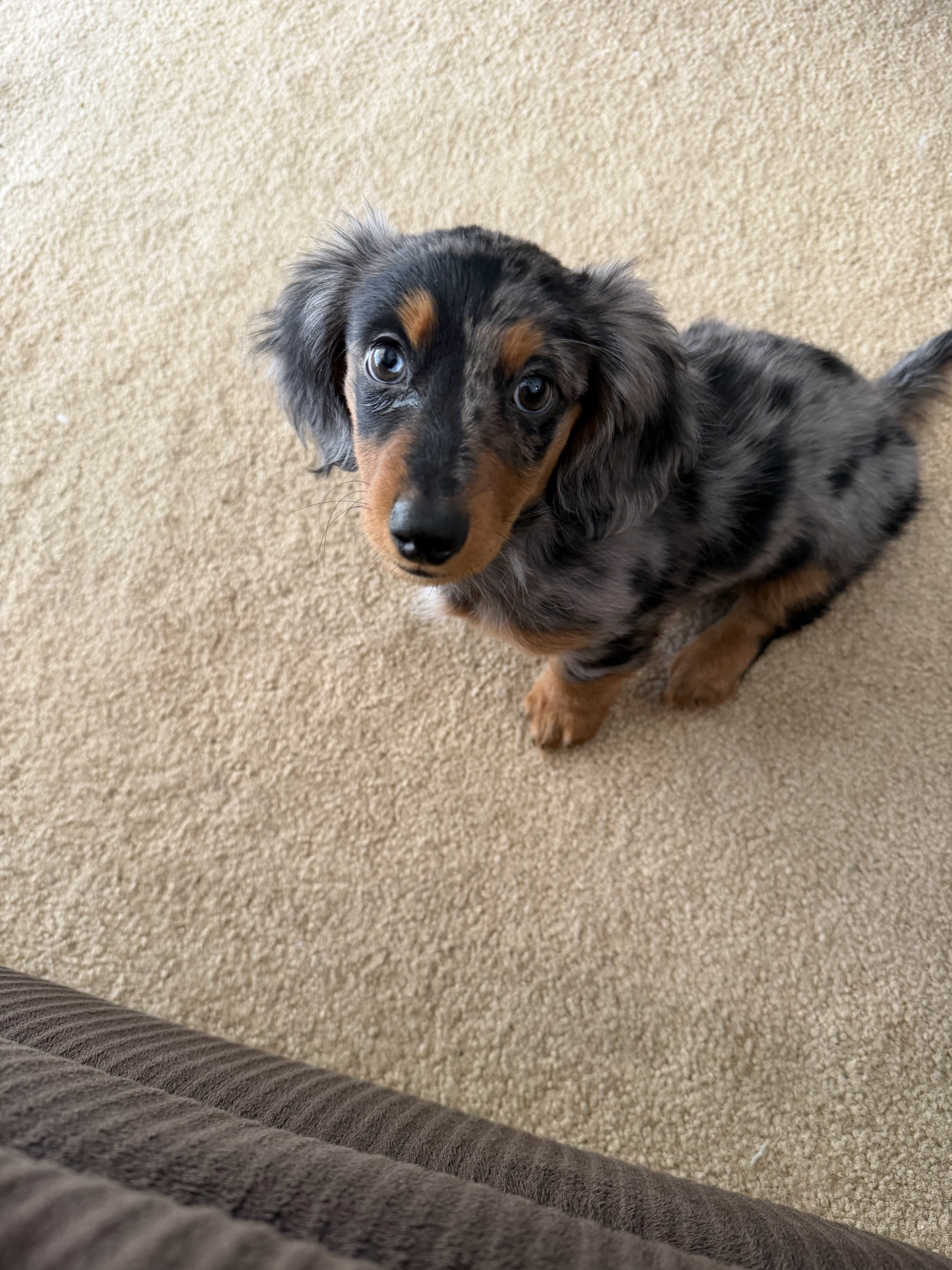 Photo Review Submission from J W