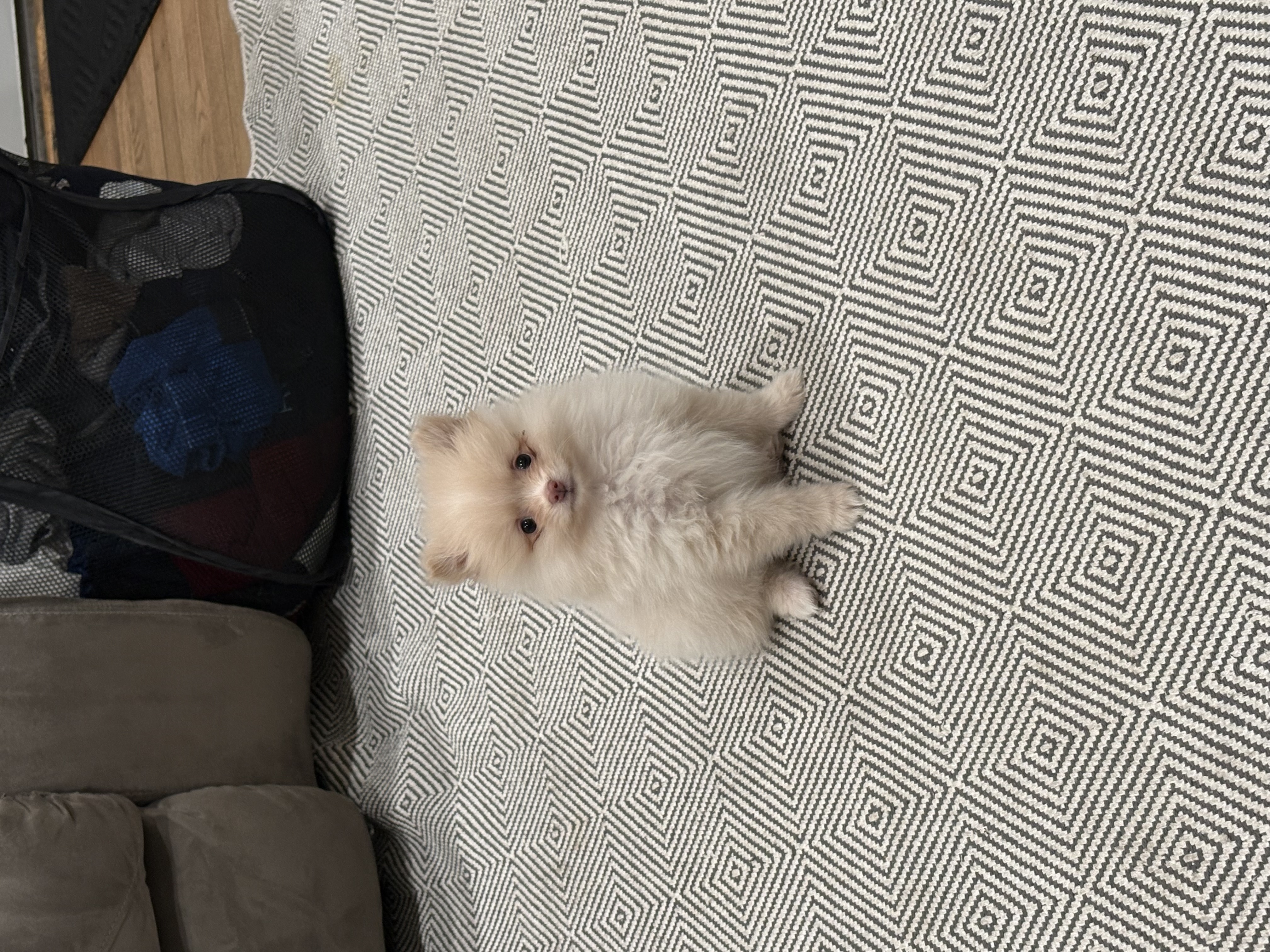 Photo Review Submission from Gabriella Hernandez