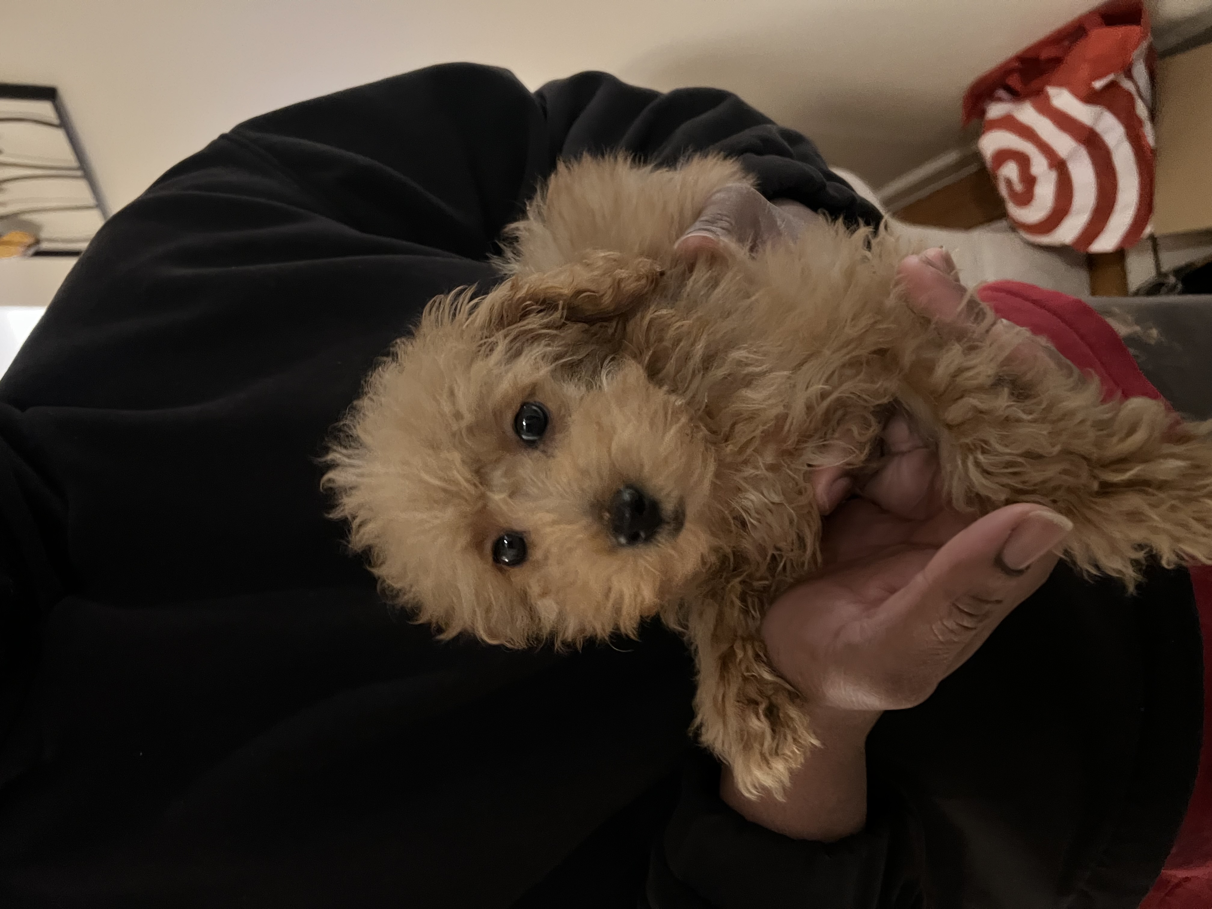 Photo Review Submission from Zipporah Lewis