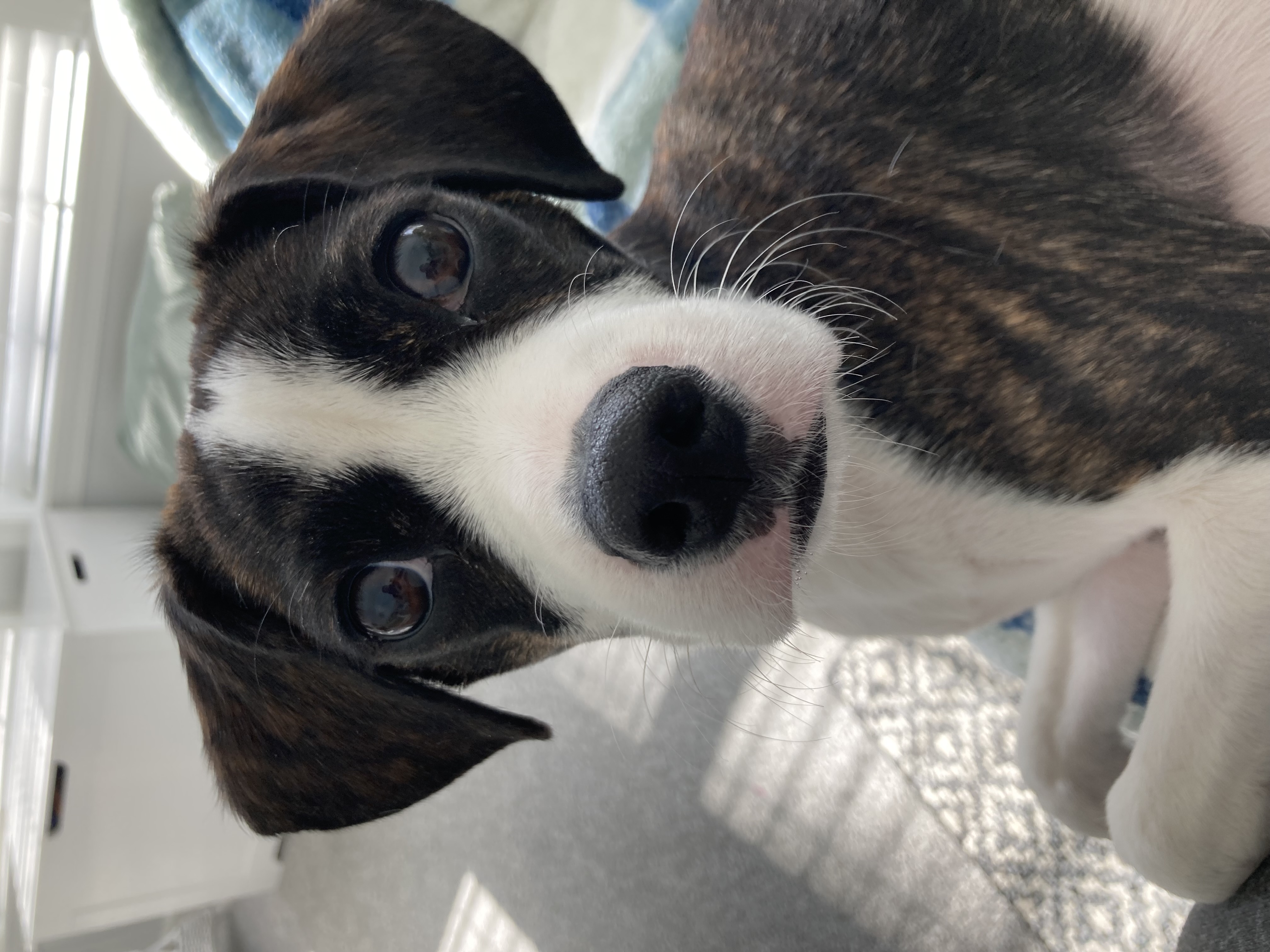 Photo Review Submission from Donna Hammer