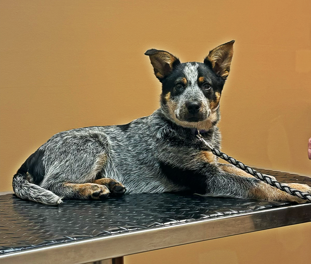 Photo Review Submission from Susan Bleja