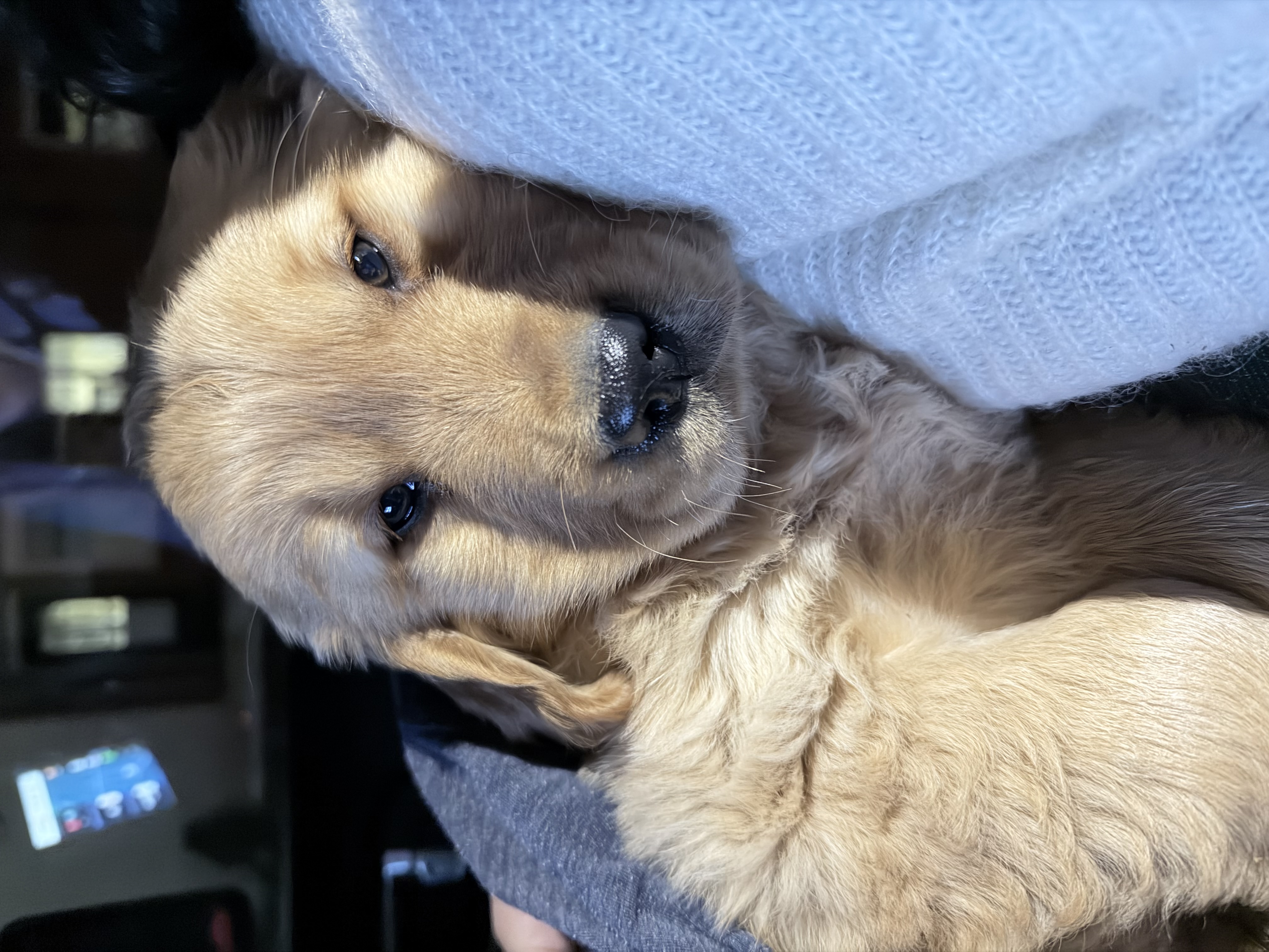 Photo Review Submission from Marianela Perez