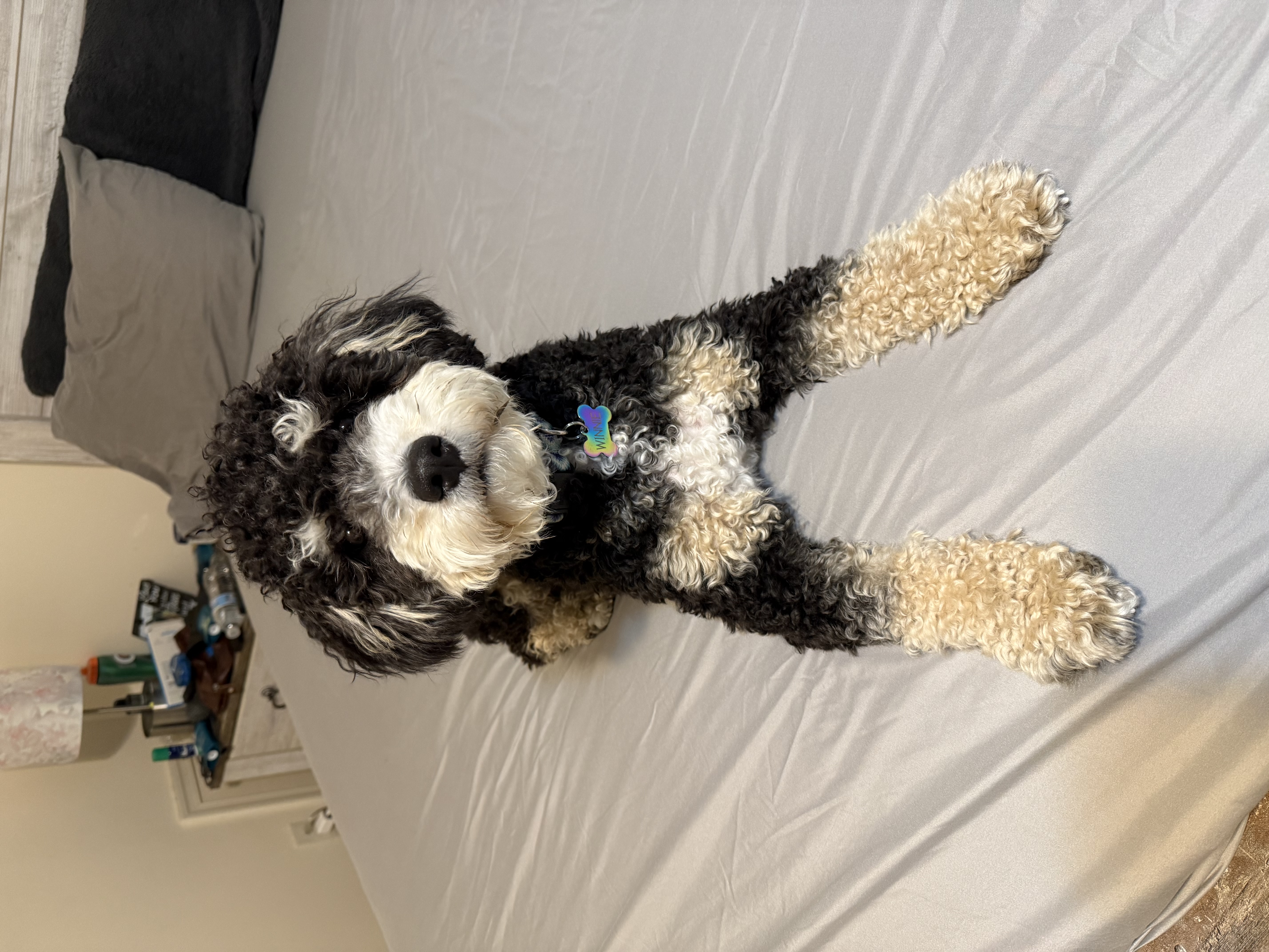 Photo Review Submission from Meg Ludman