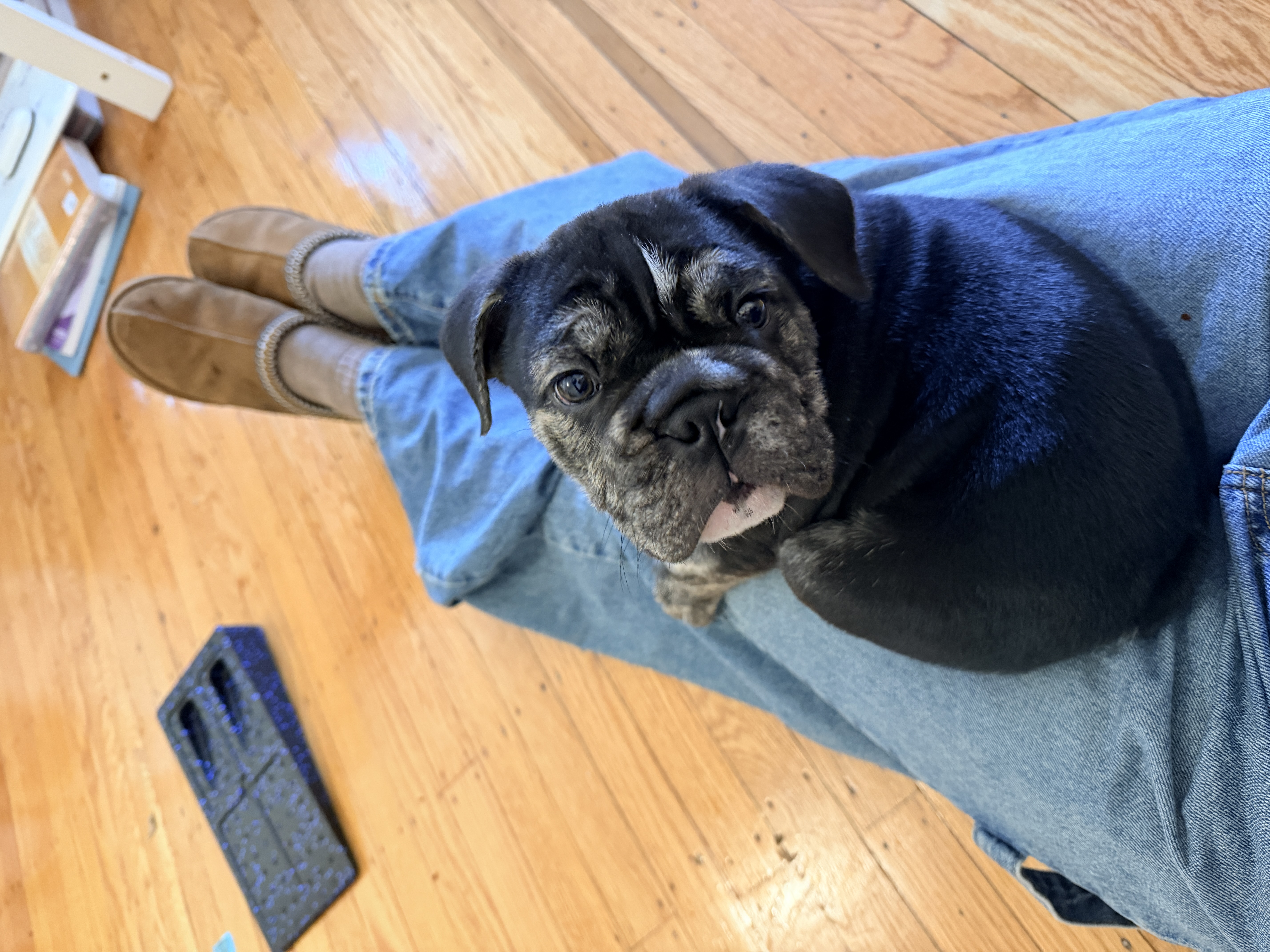 Photo Review Submission from Joanna Ruocco