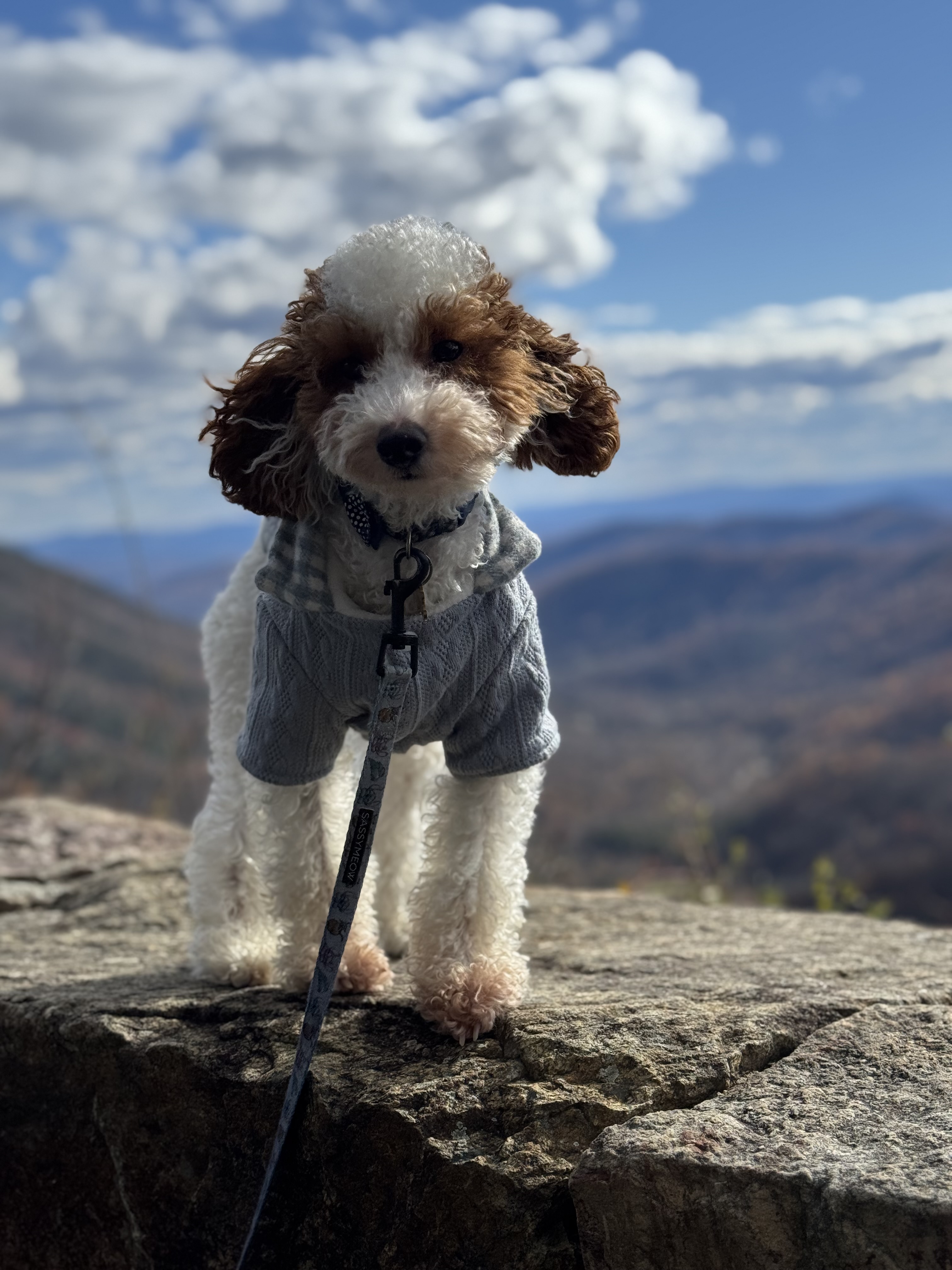 Photo Review Submission from Milagro Luis Manuel