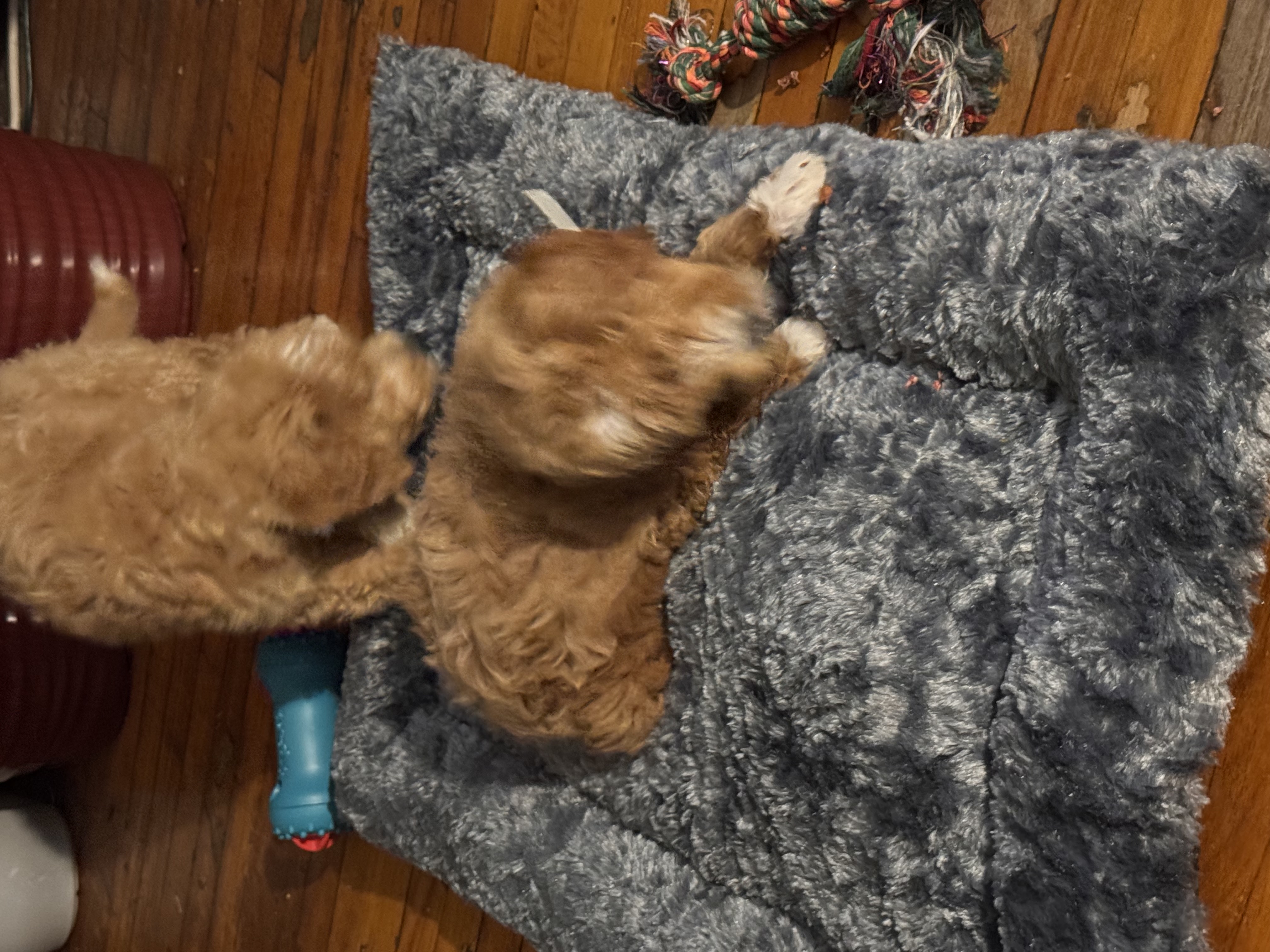 Photo Review Submission from Ana Rodriguez