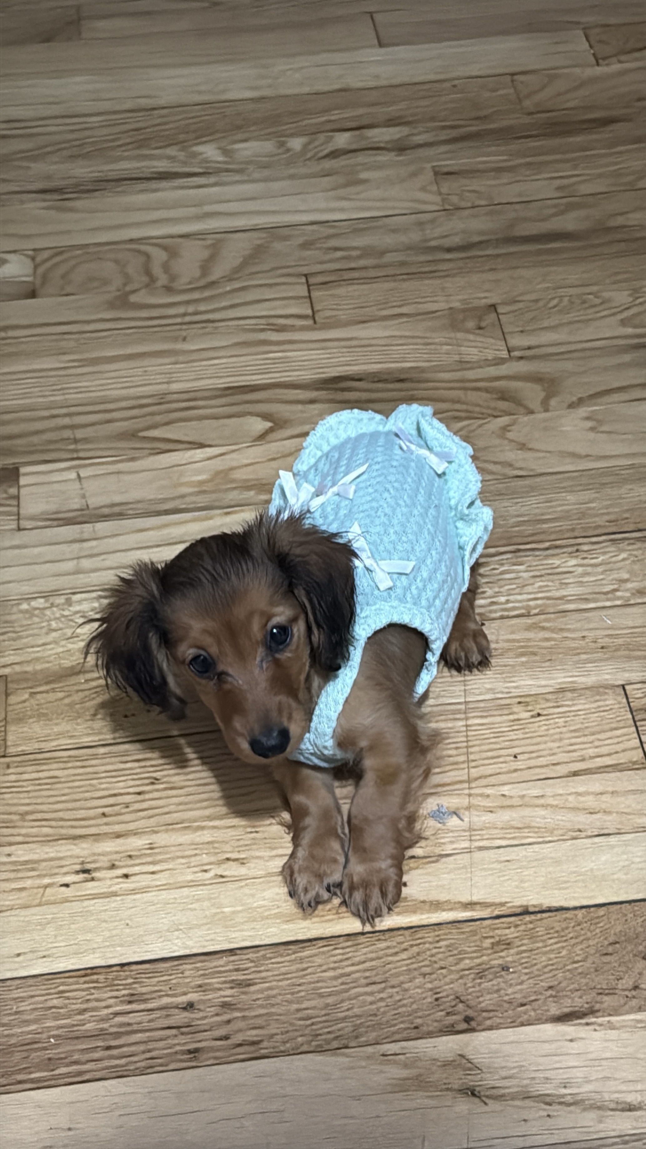 Photo Review Submission from Sonia Marte