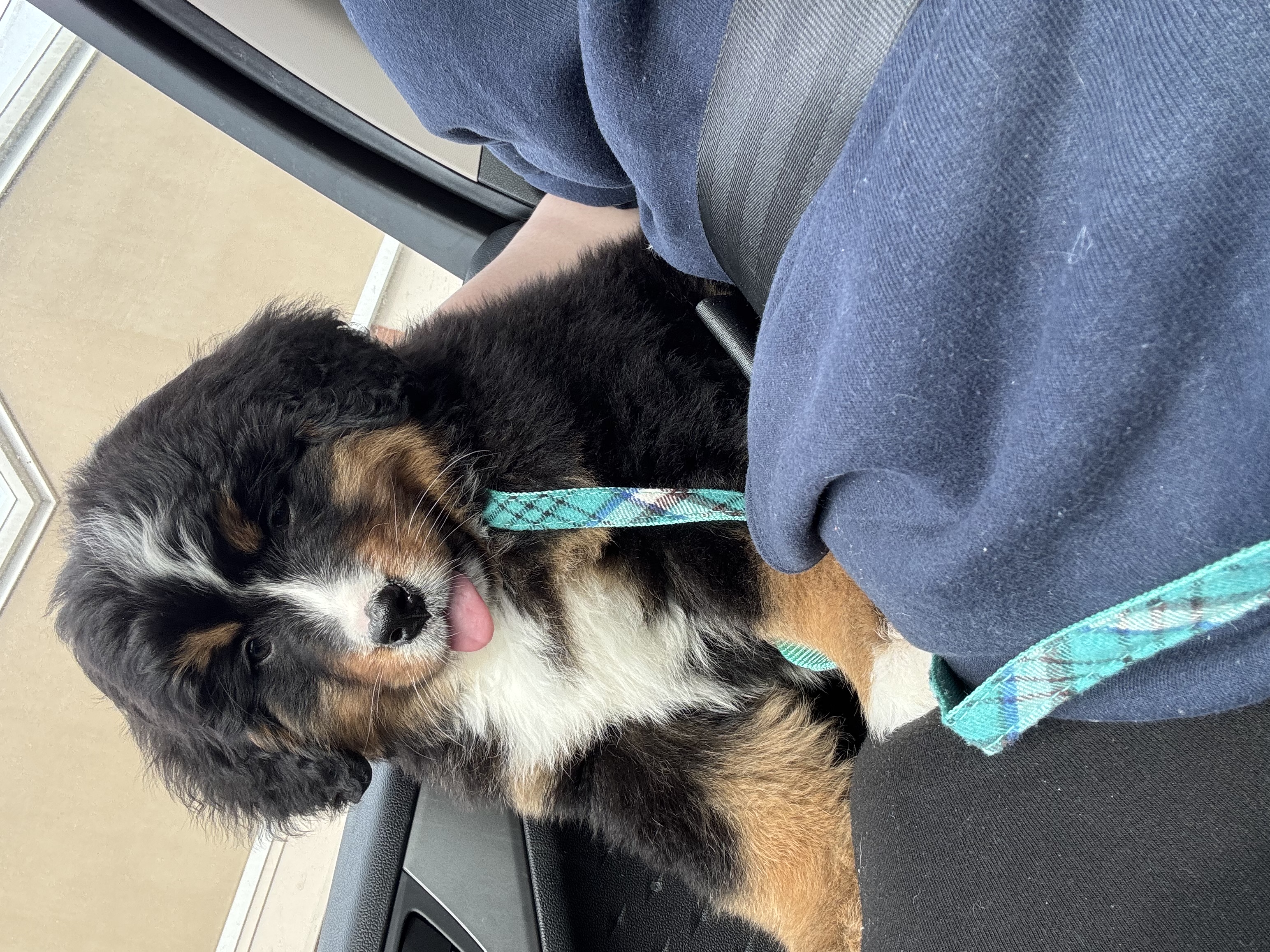 Photo Review Submission from Martina Alvarez