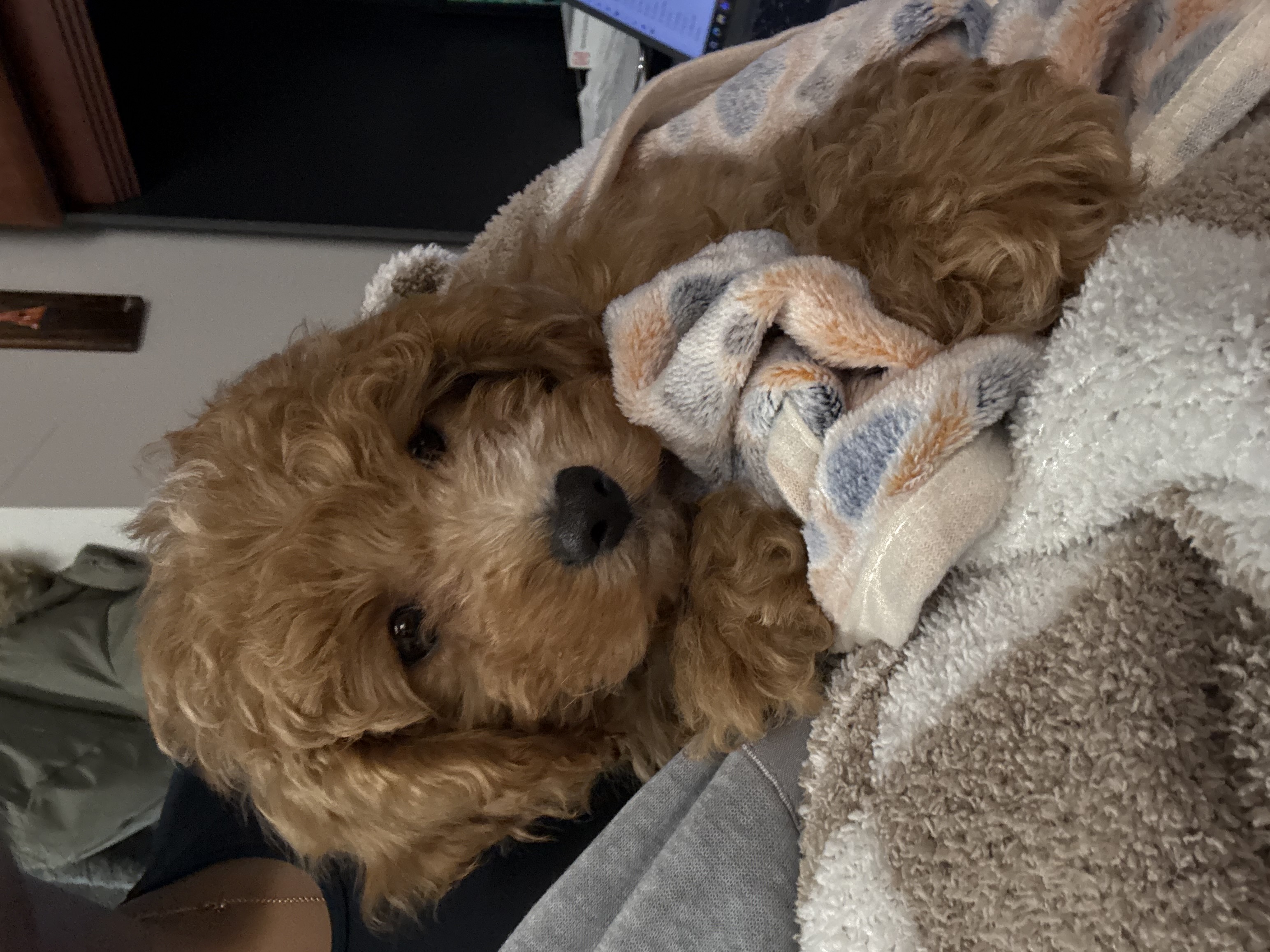 Photo Review Submission from Ivette Valdespino