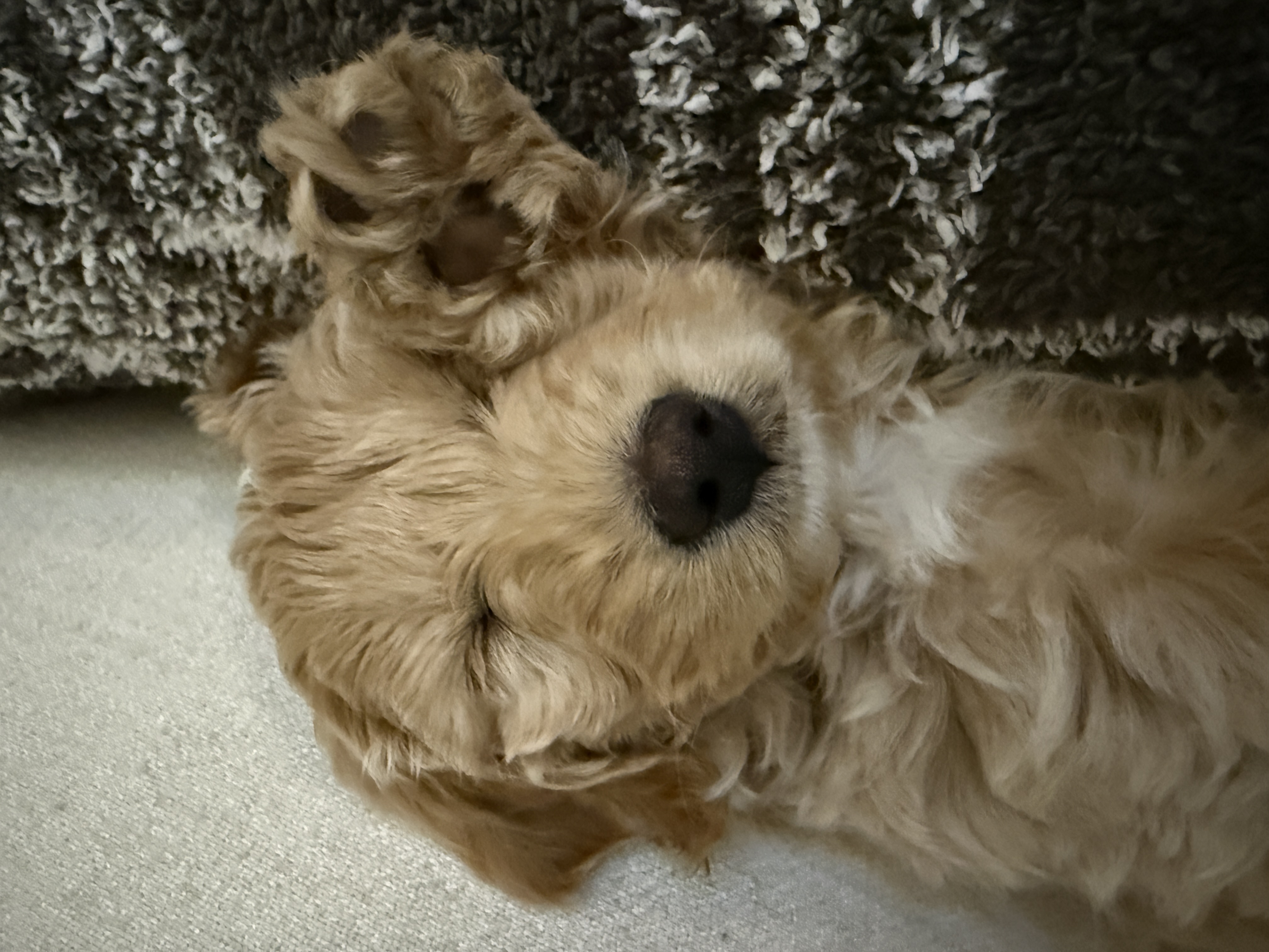 Photo Review Submission from Brandan Buerhaus