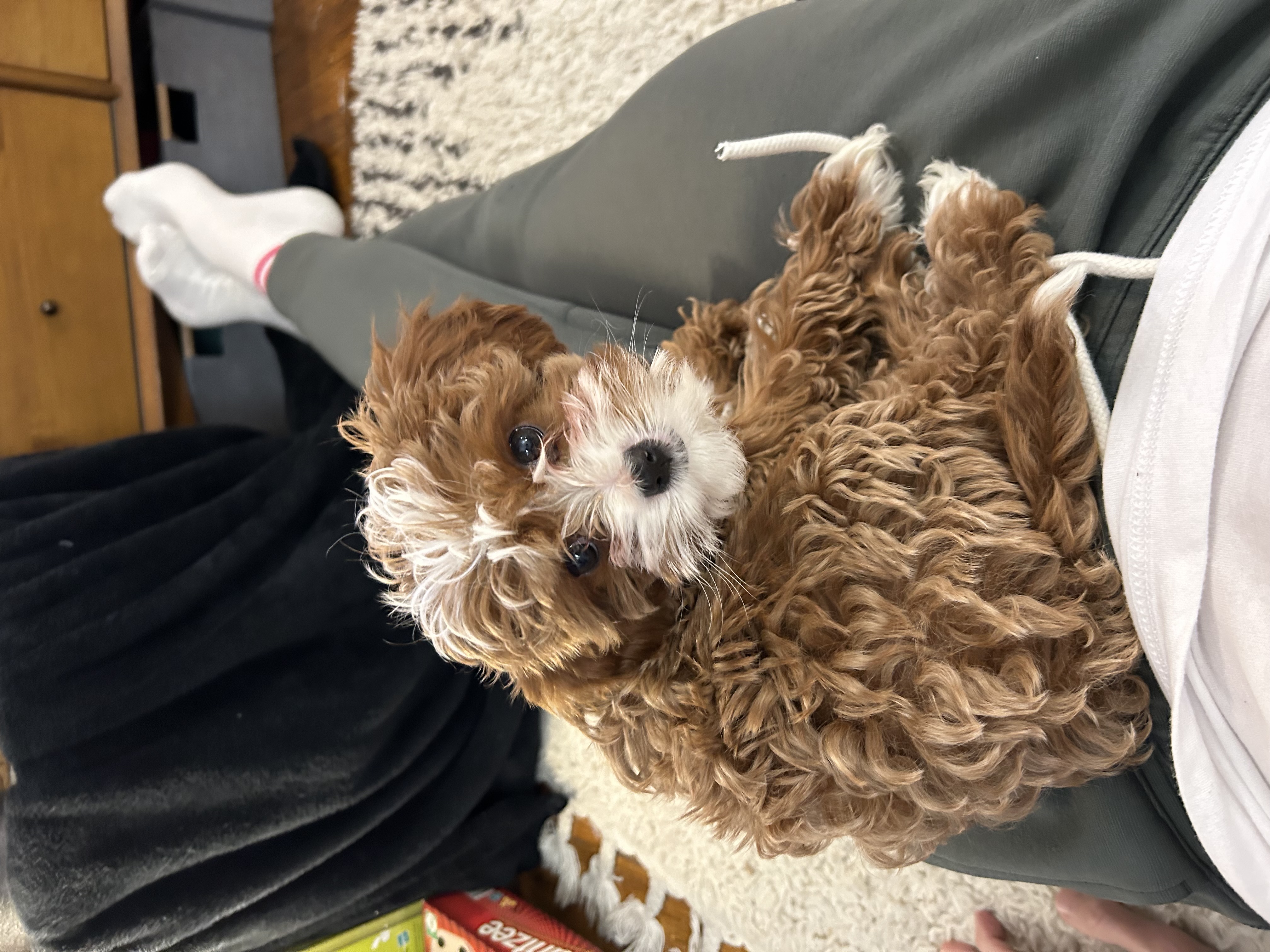 Photo Review Submission from Timothy Lyle