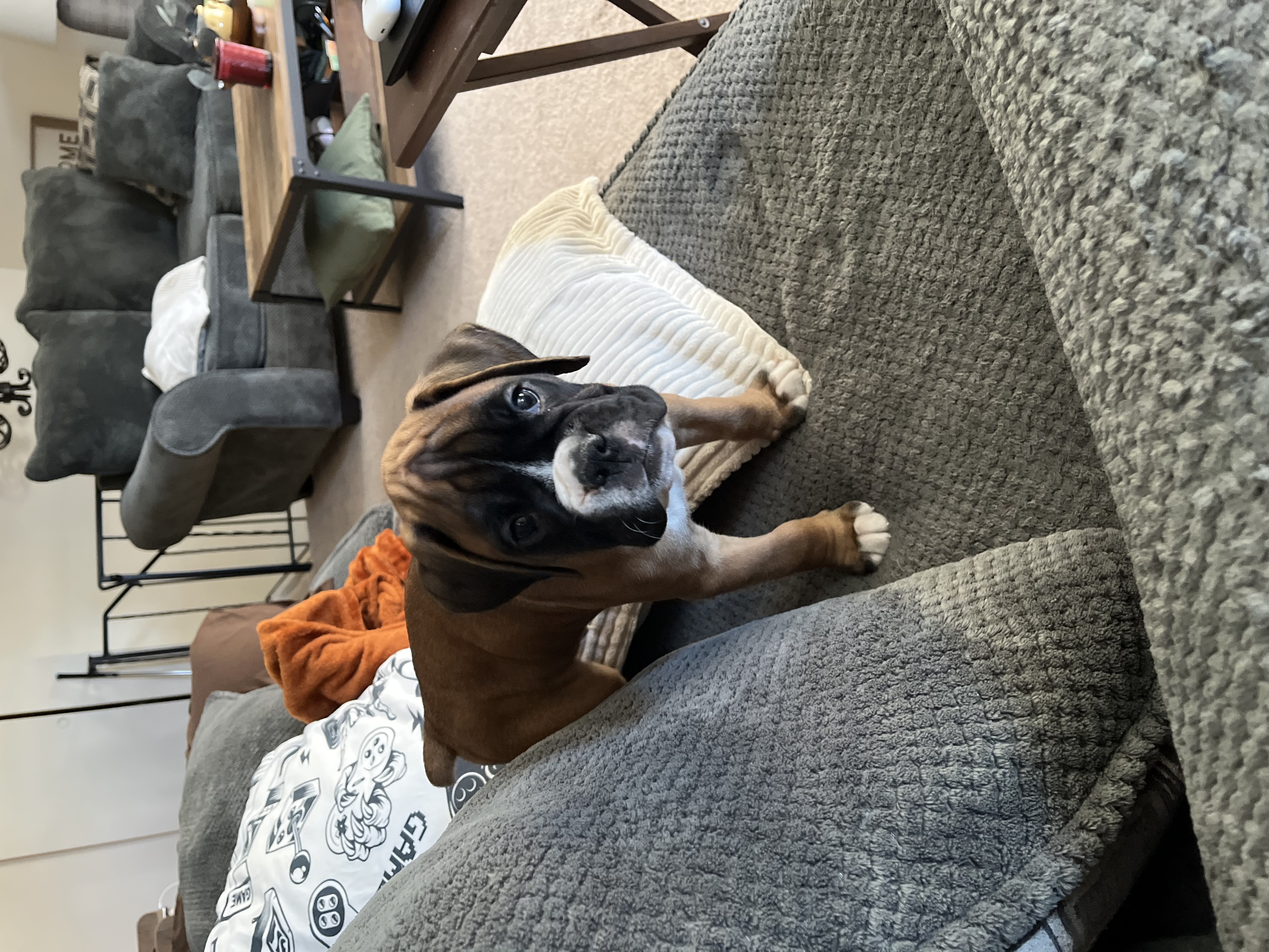 Photo Review Submission from Gregory June