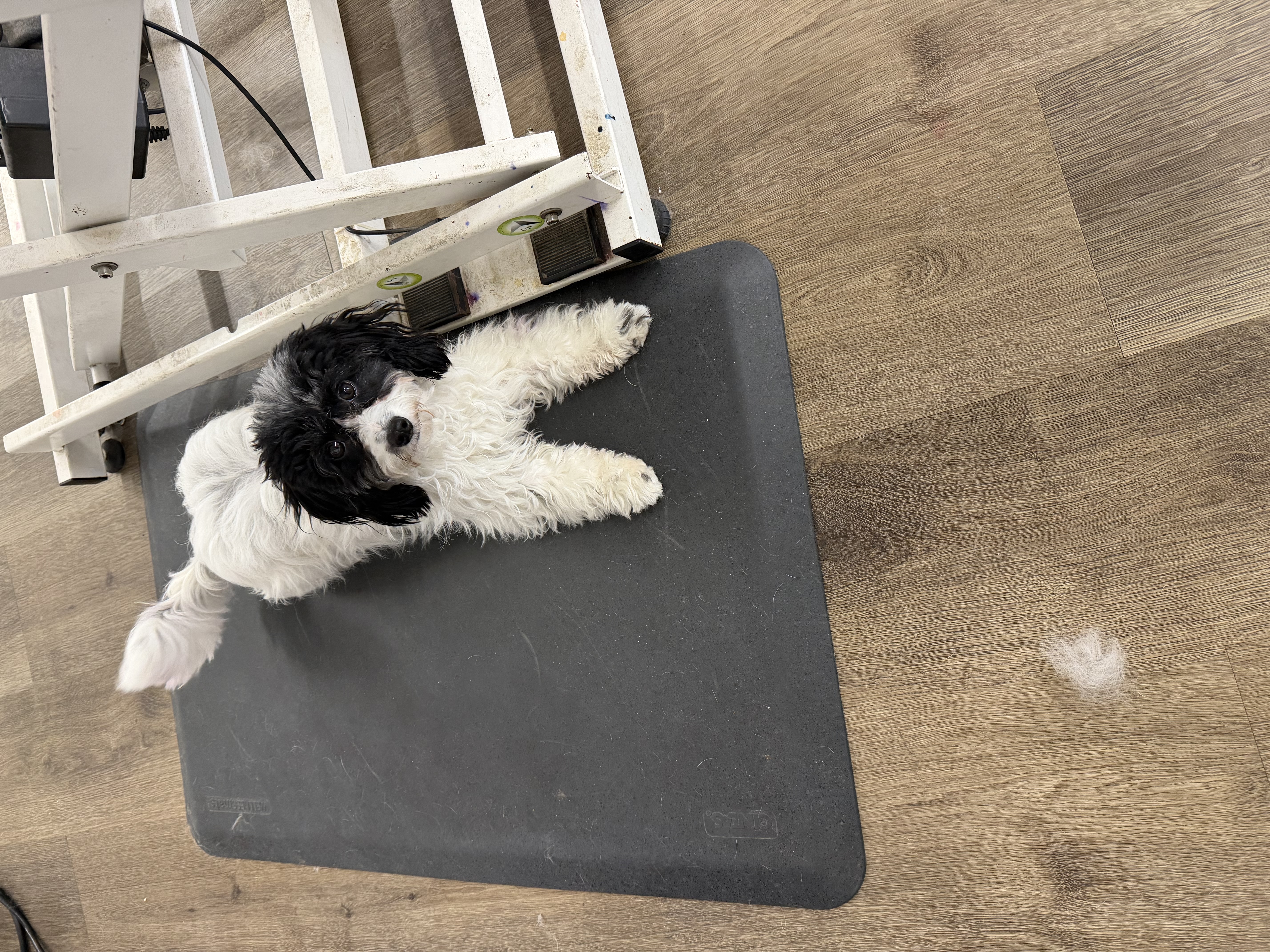 Photo Review Submission from Anthony Stewart