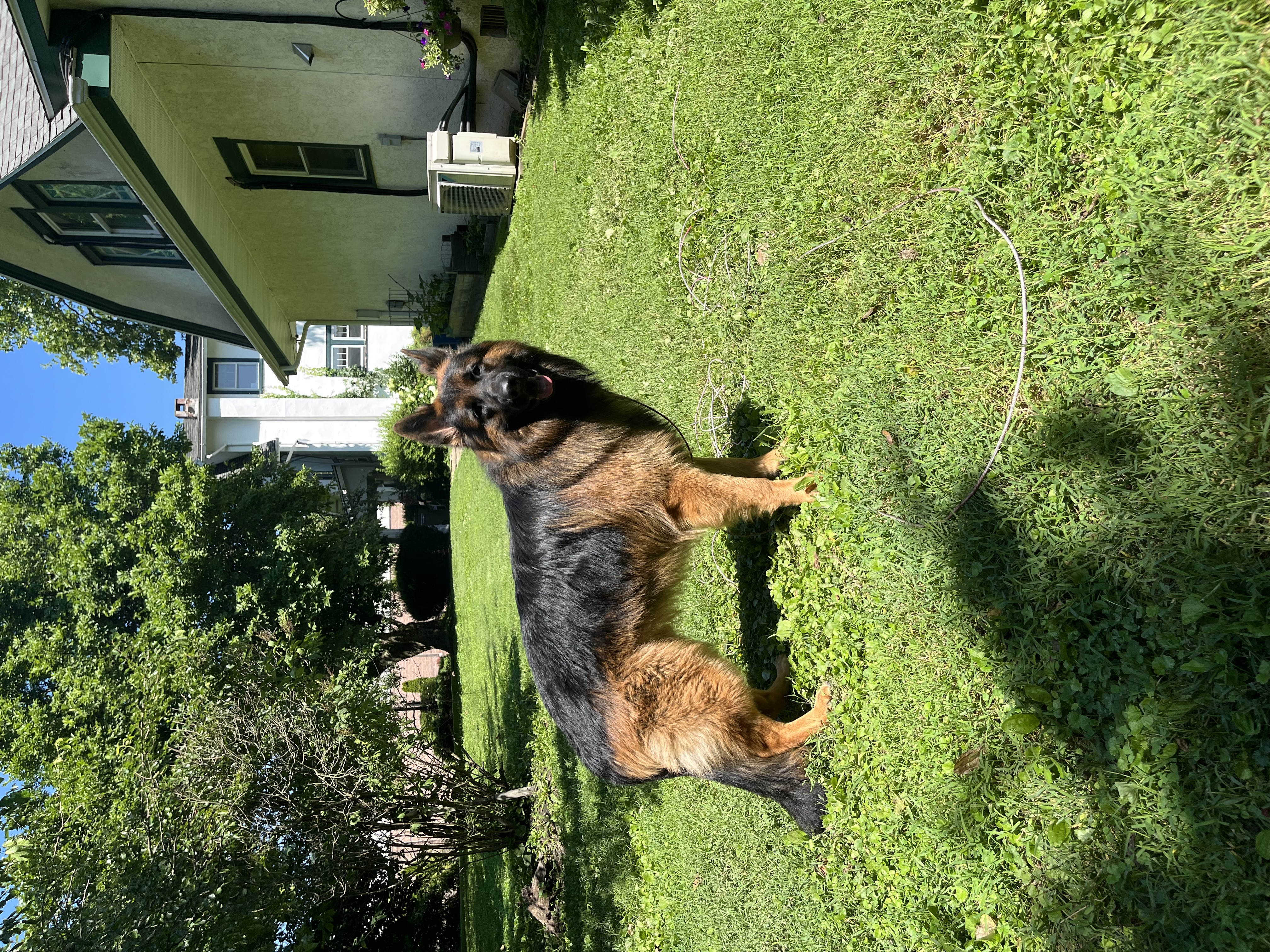 Photo Review Submission from Danielle Bartman