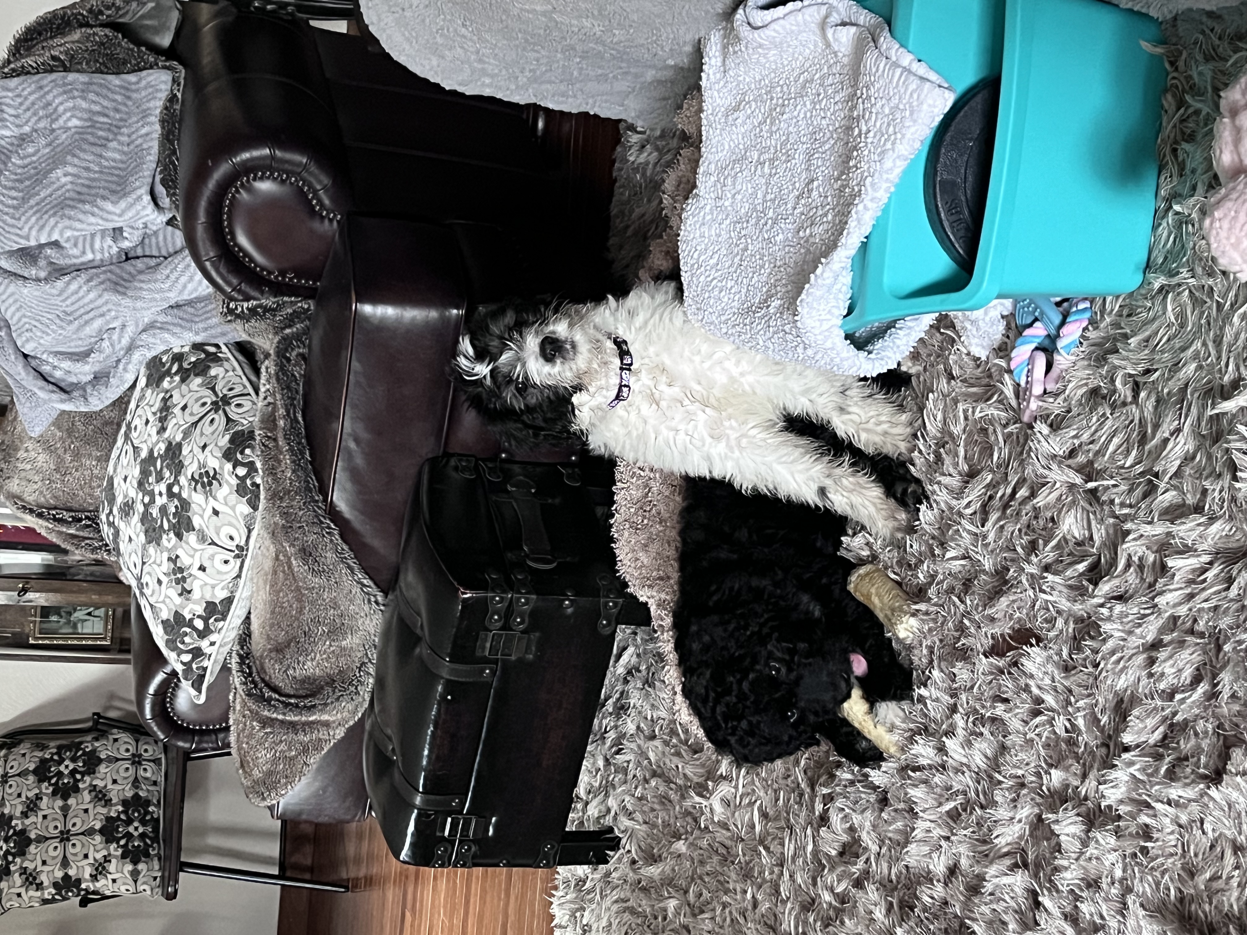 Photo Review Submission from Andy Middleton