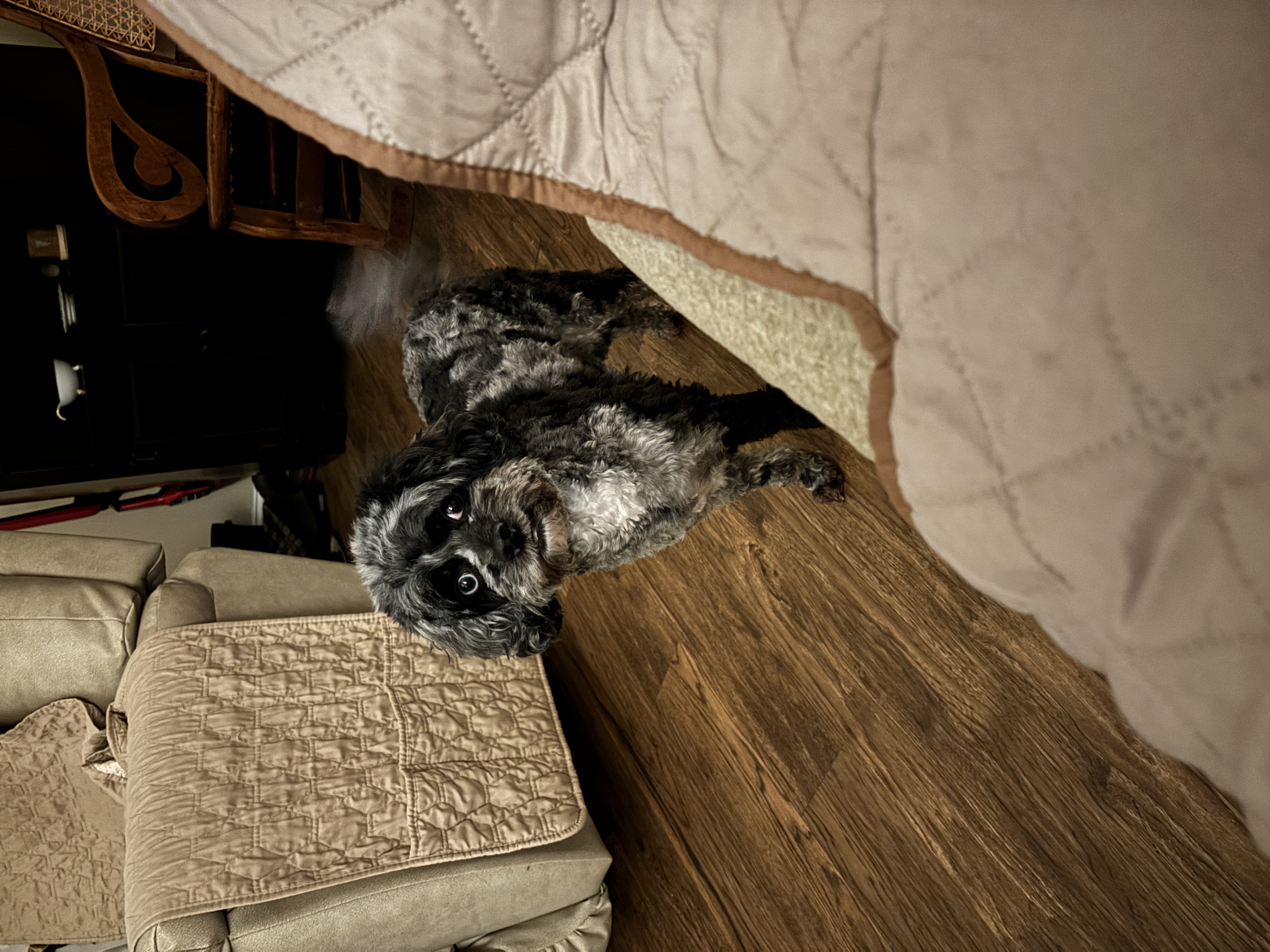 Photo Review Submission from Valerie Bruno