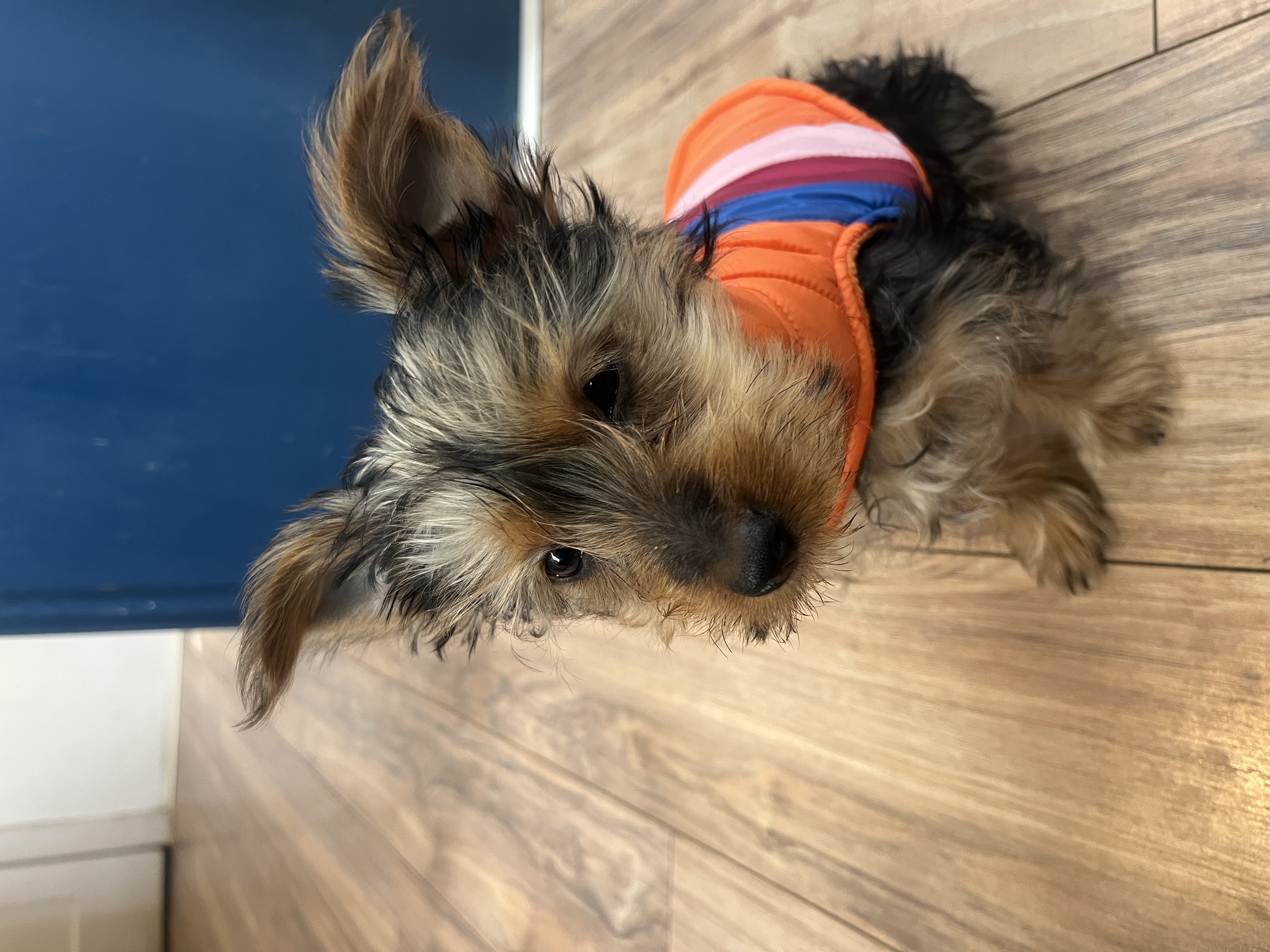 Photo Review Submission from Ashley Ward