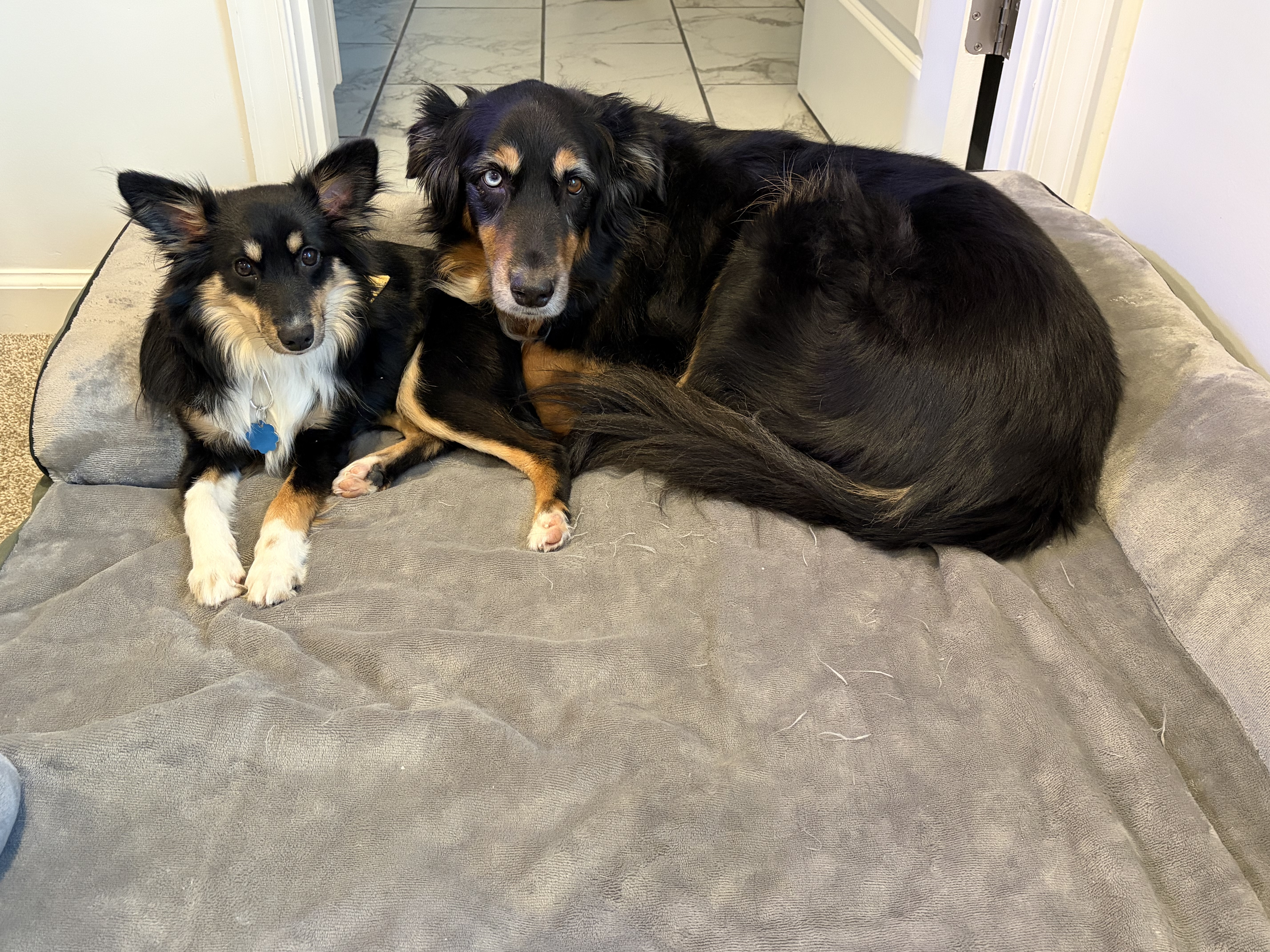 Photo Review Submission from Amanda White