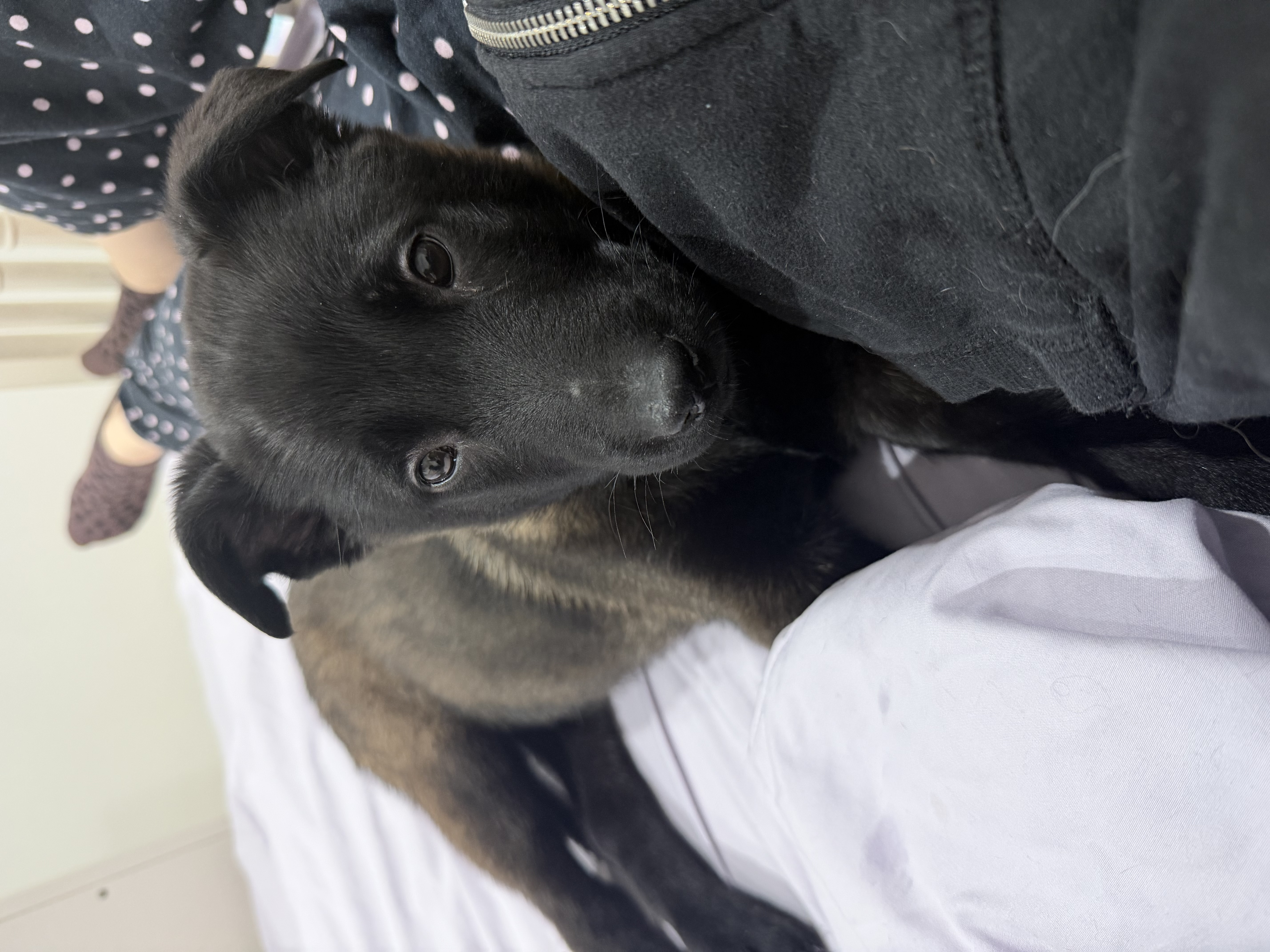 Photo Review Submission from Amanda Pagnillo