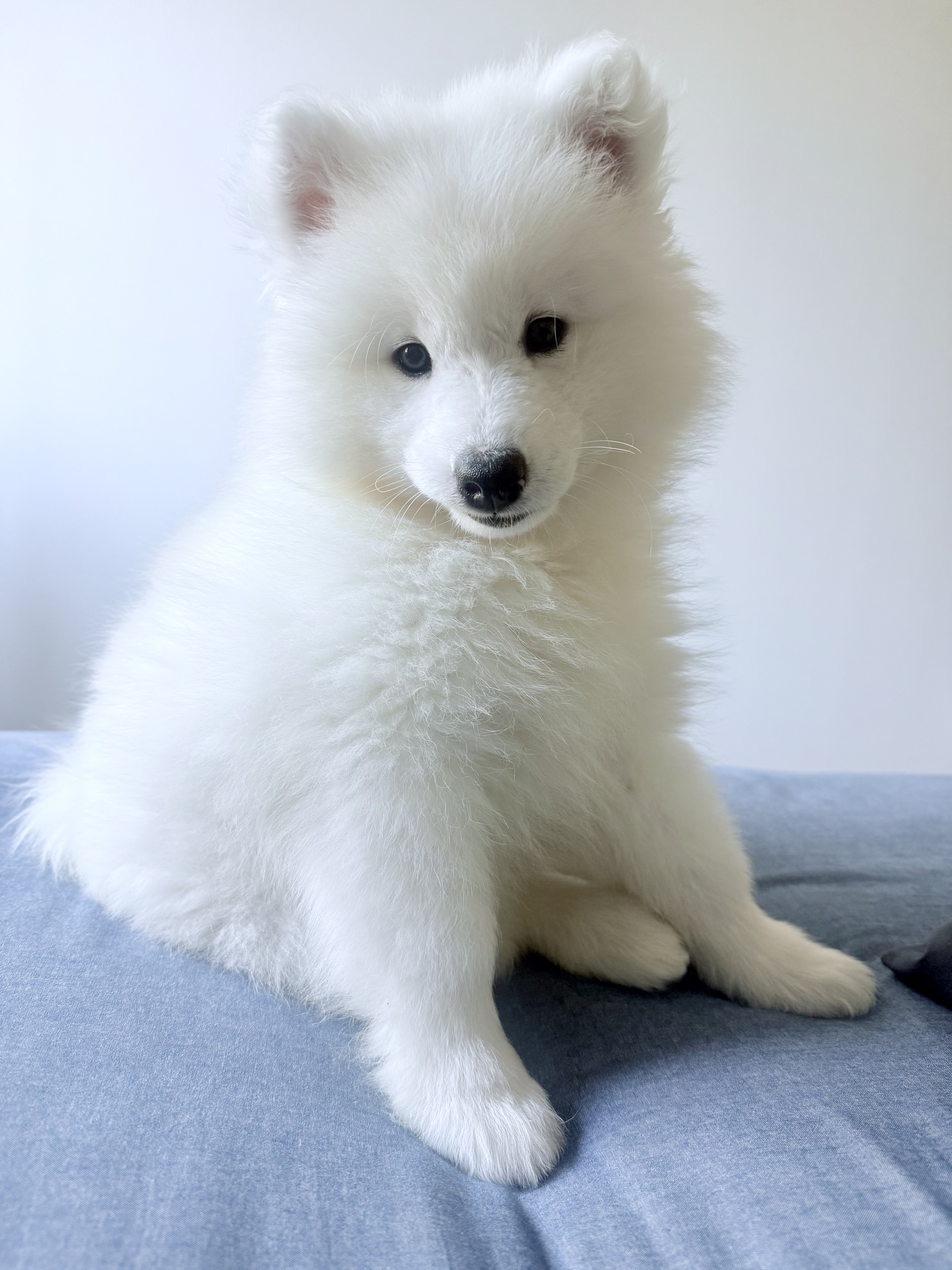 Photo Review Submission from Angelica De La Cruz