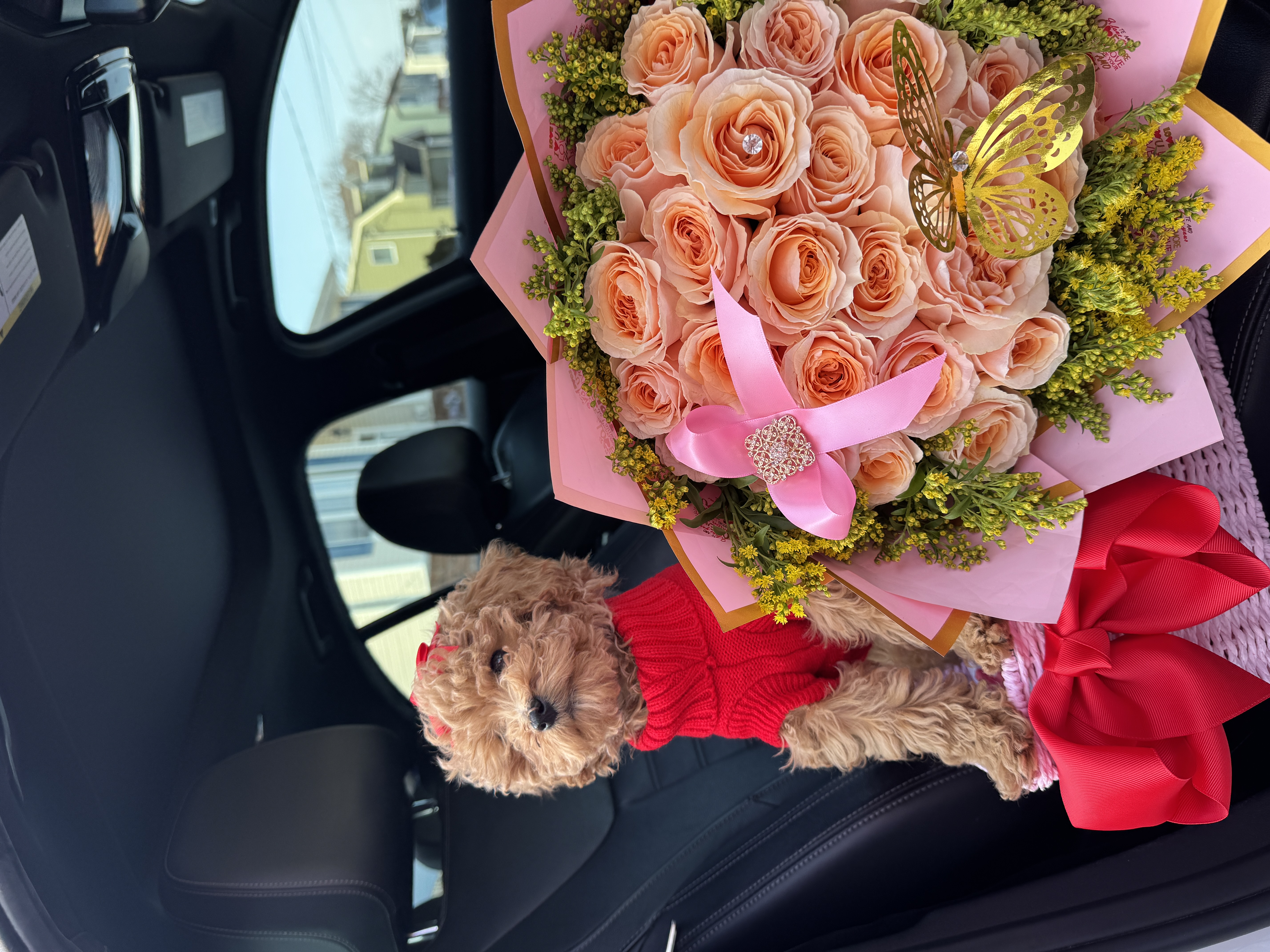 Photo Review Submission from Nat Z