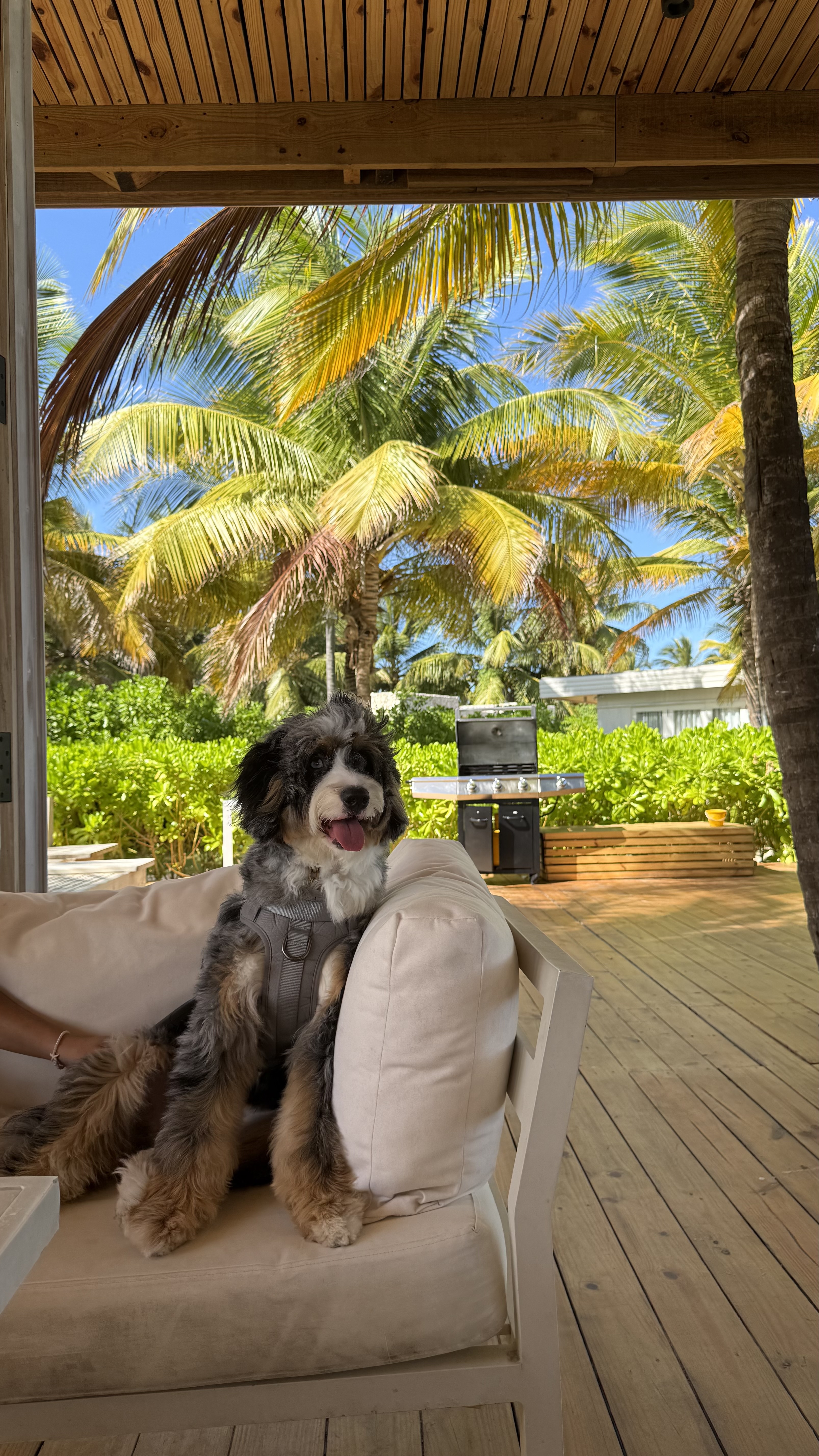 Photo Review Submission from Jessica Velazquez