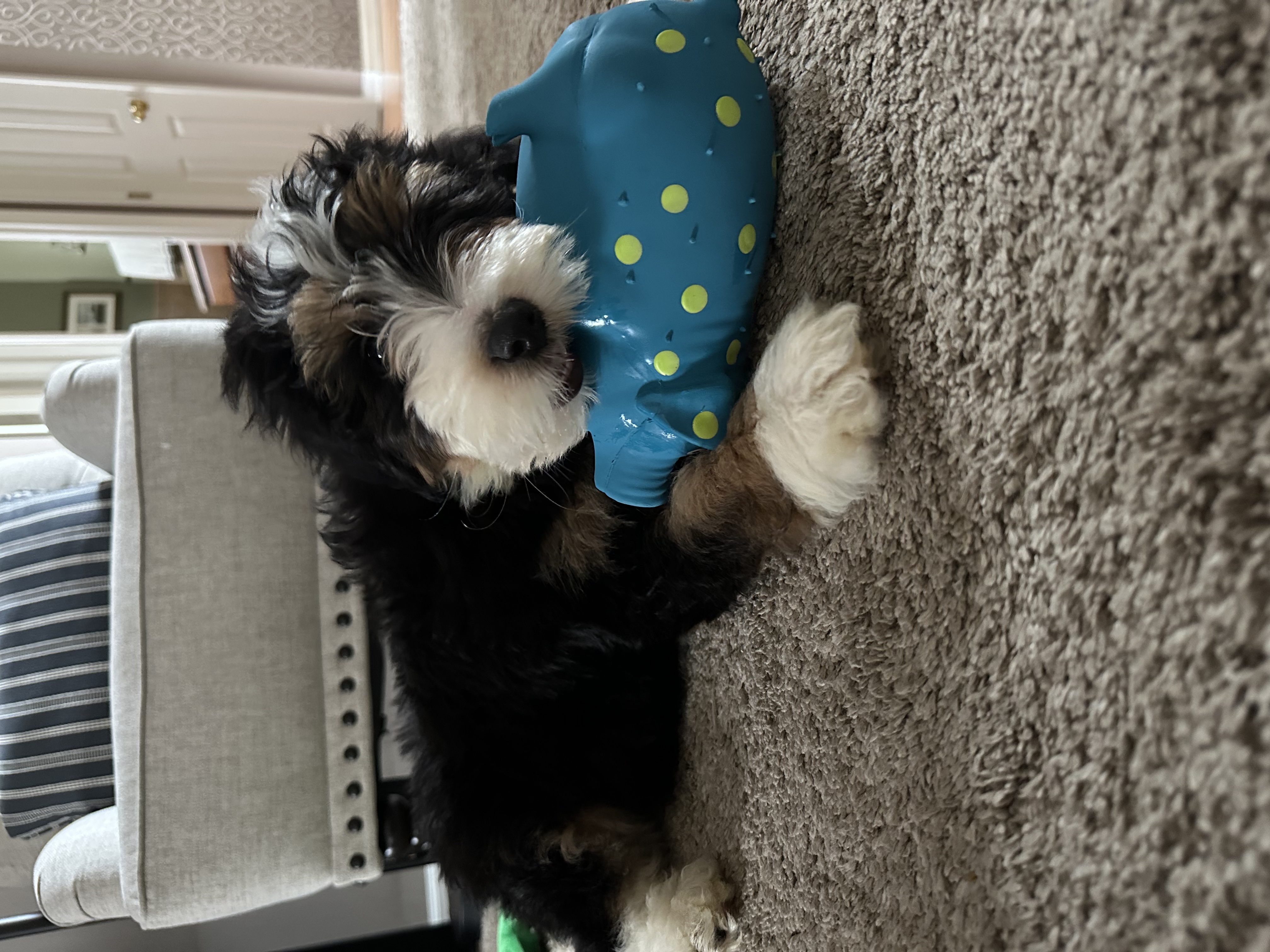 Photo Review Submission from Jeannine Lorenzo