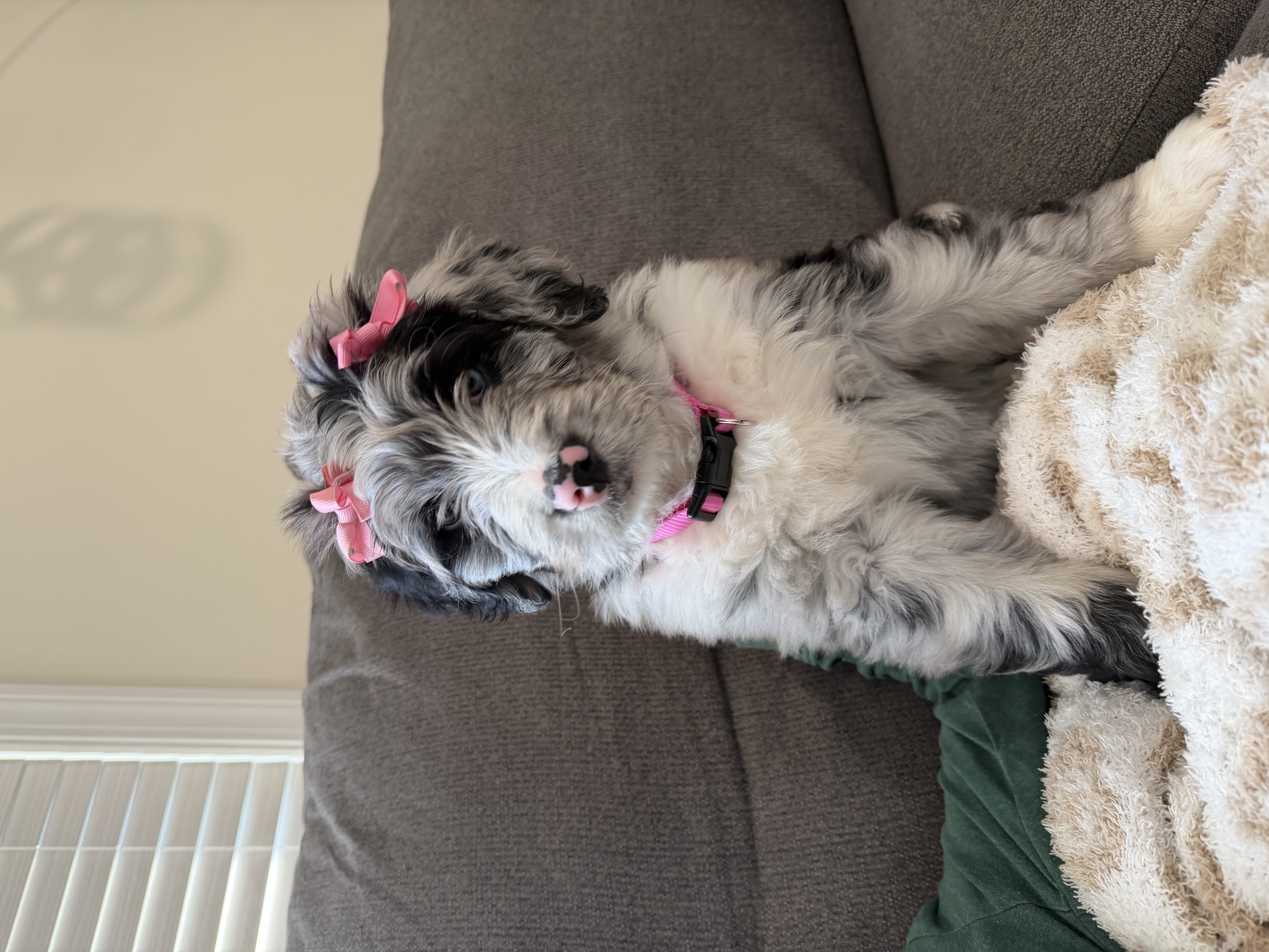 Photo Review Submission from Ashley Contino