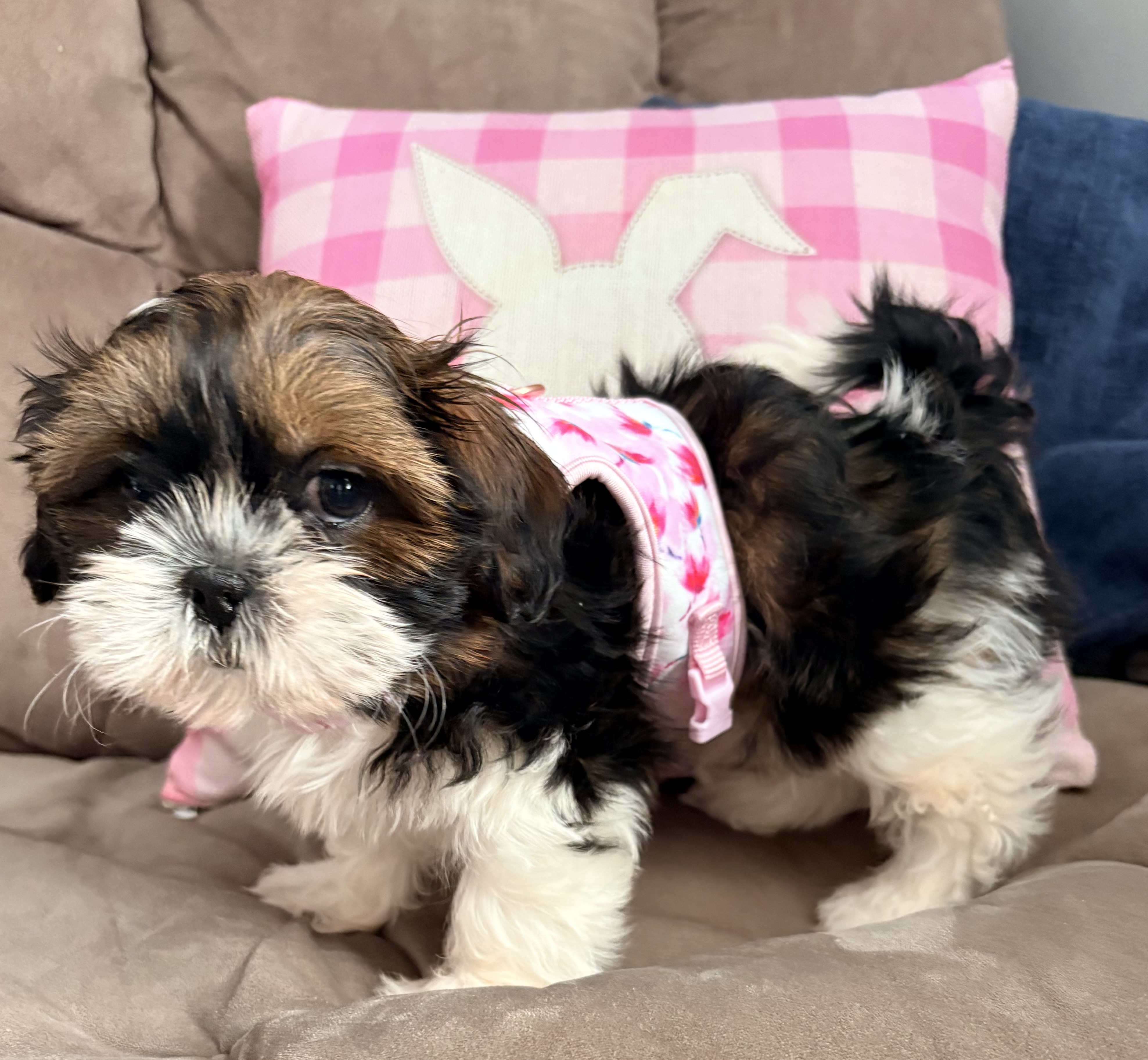 Photo Review Submission from Jennifer Ochs