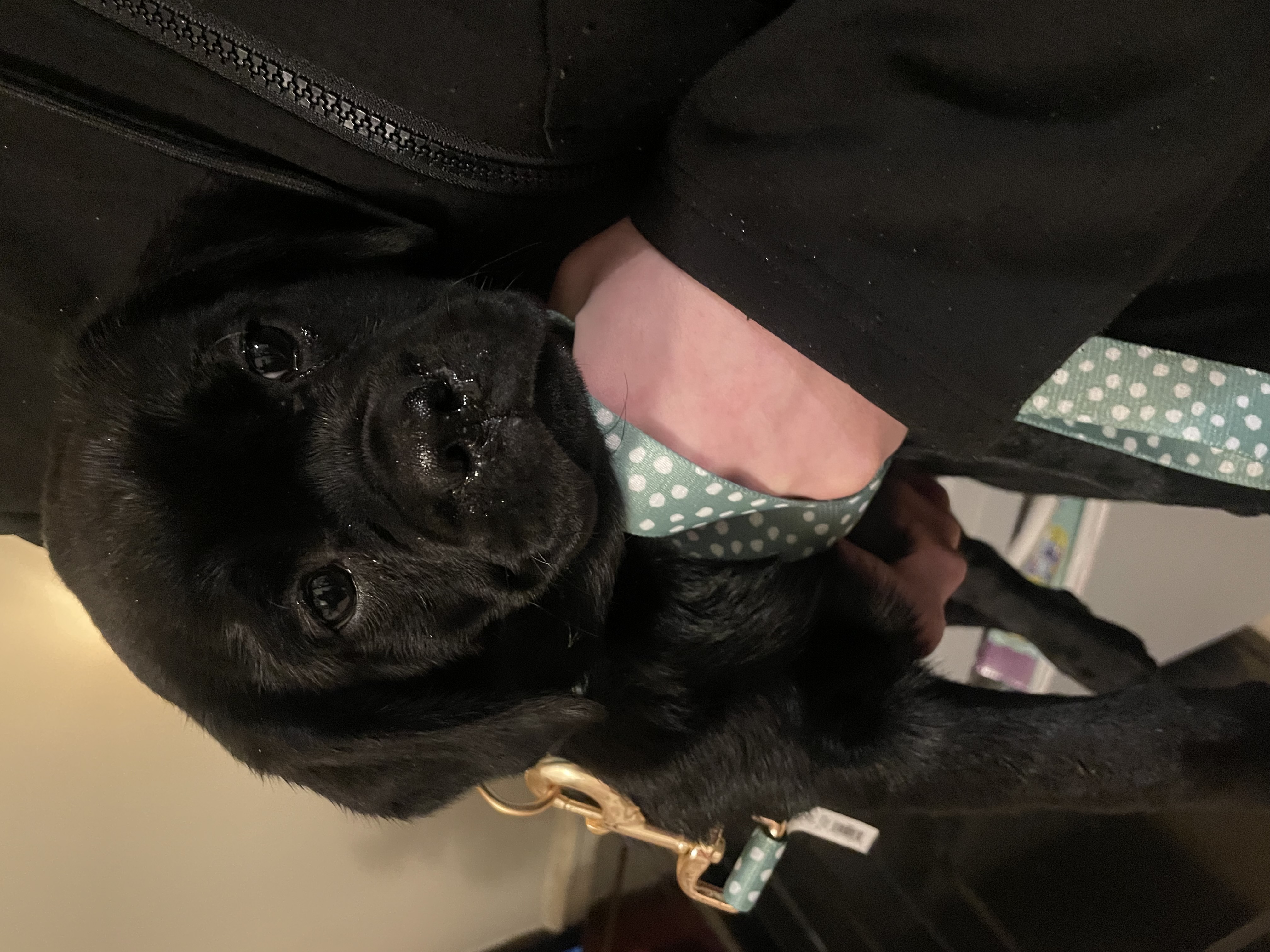 Photo Review Submission from Hailey S