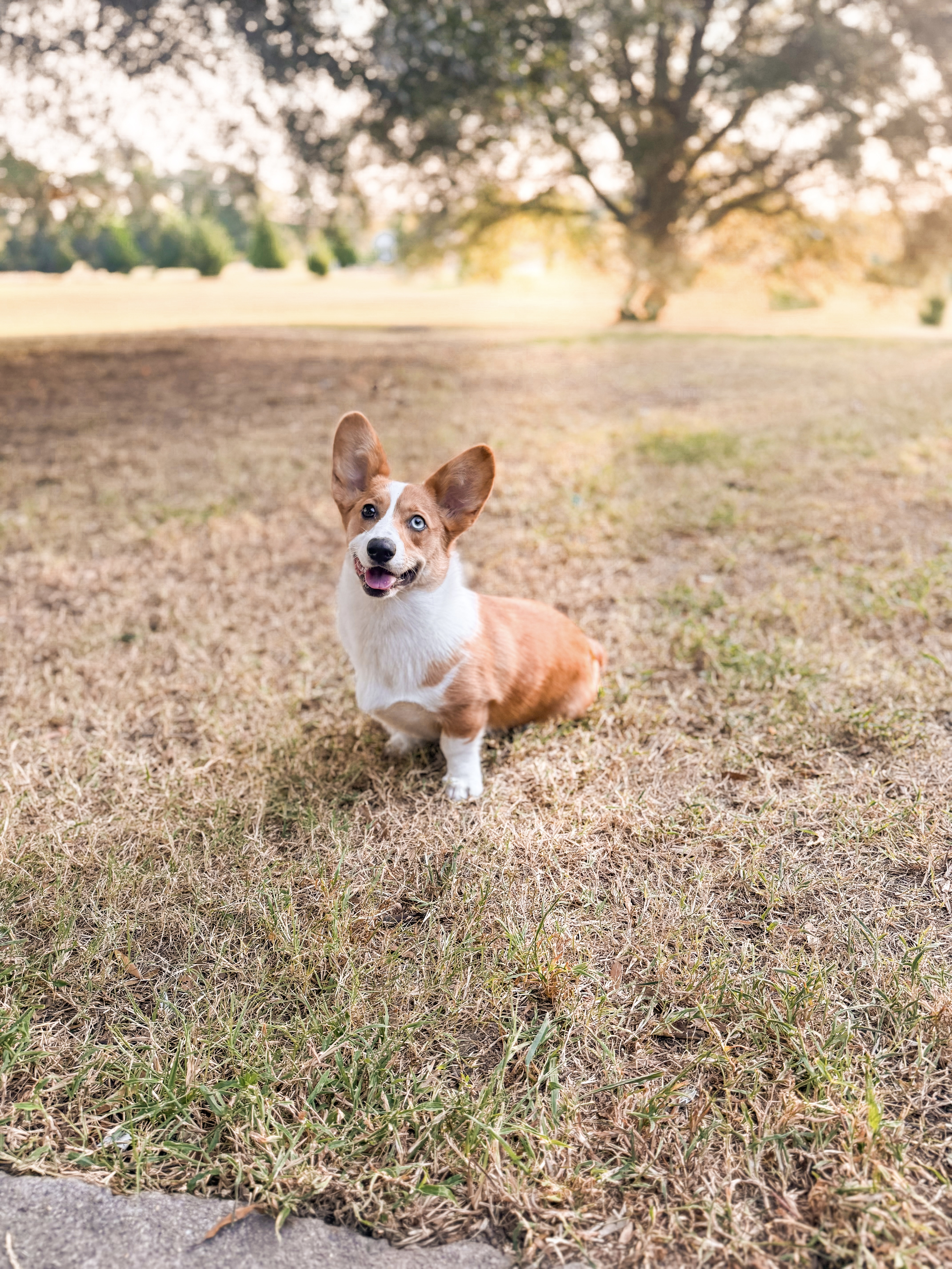 Photo Review Submission from Ashley Mitchell