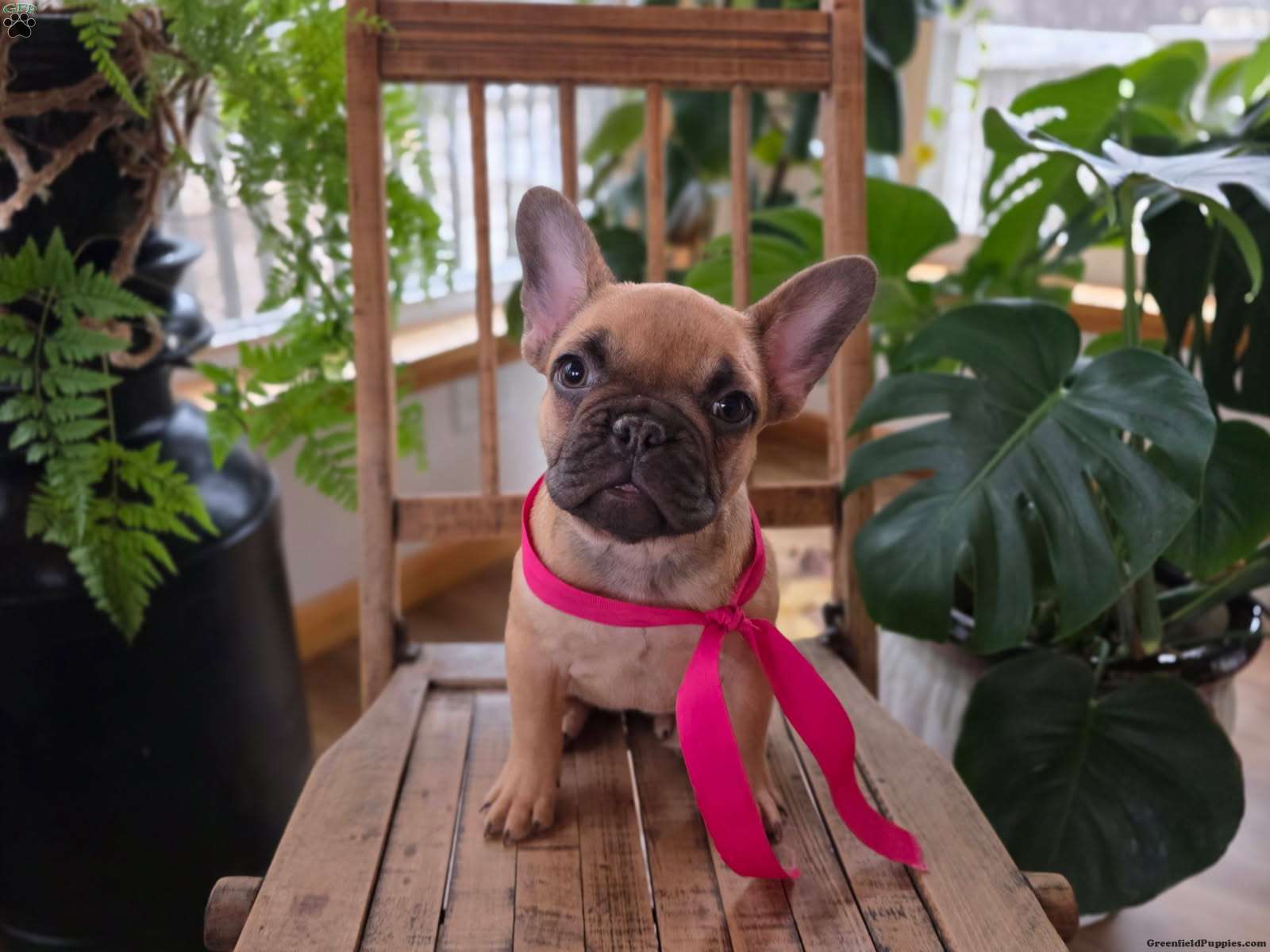 Photo Review Submission from Joseph Hvostal