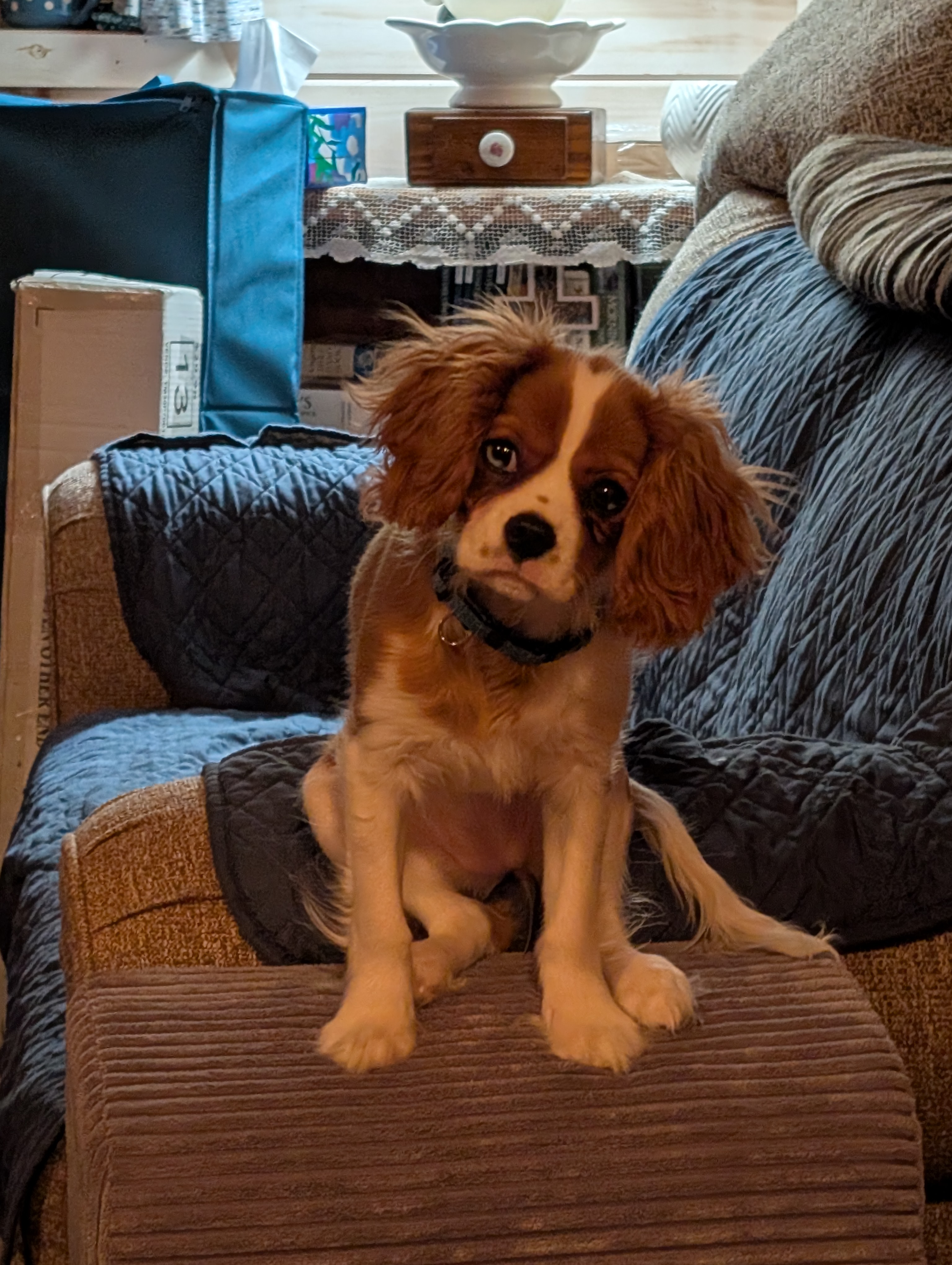 Photo Review Submission from Regina Canfield