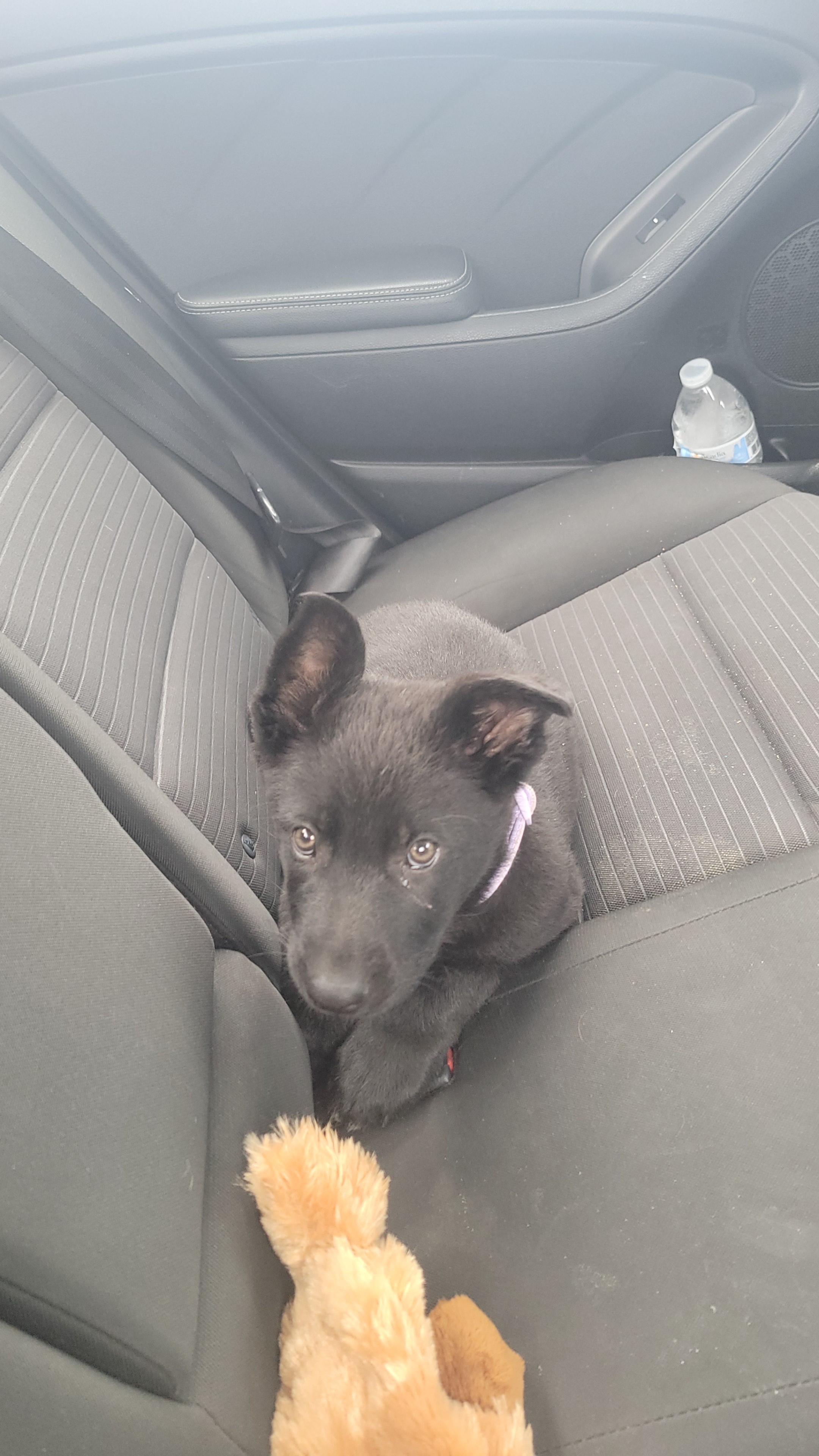 Photo Review Submission from Skylar Zaleski