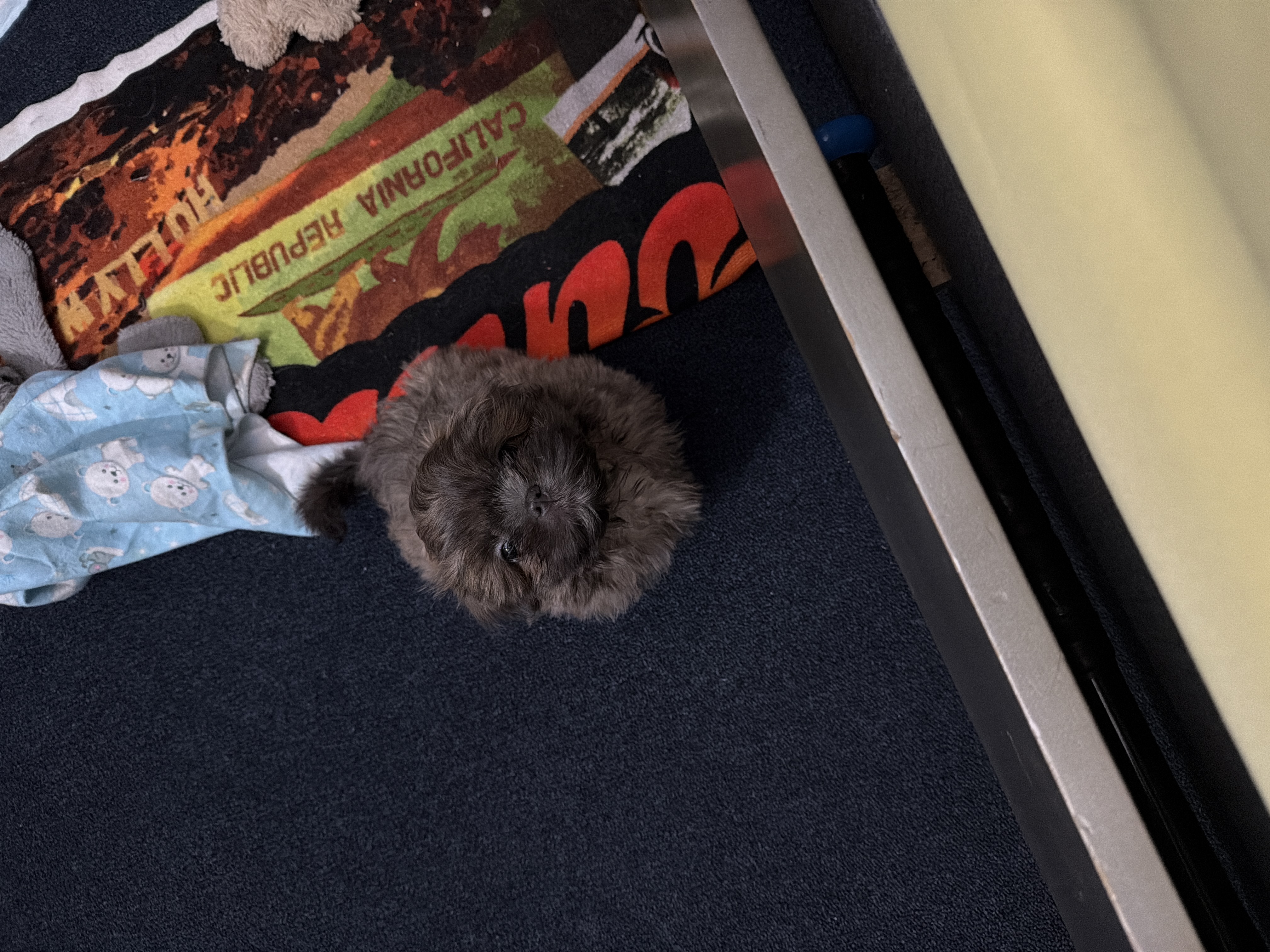 Photo Review Submission from Jania Simmons