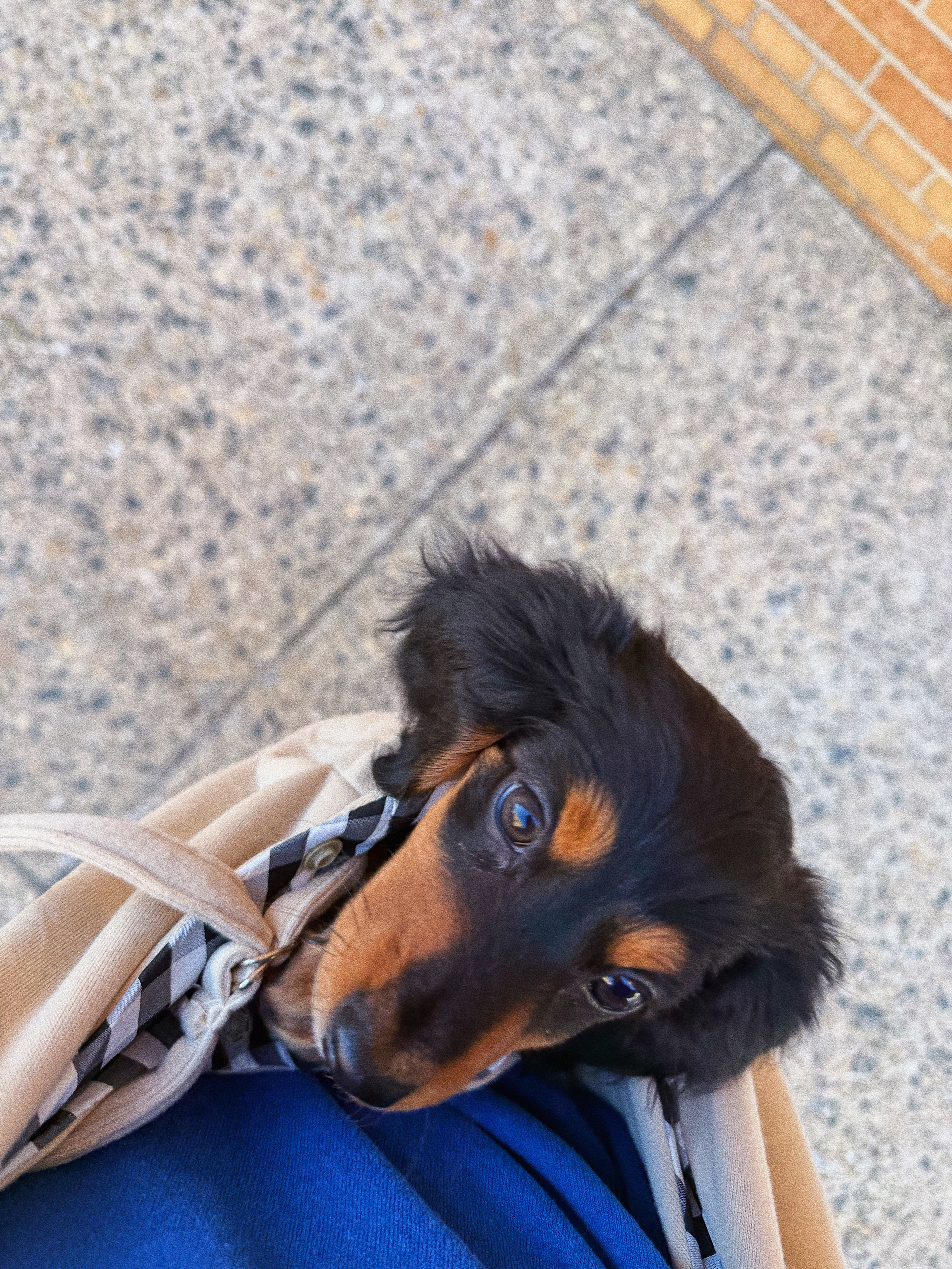 Photo Review Submission from Seth Inosanto