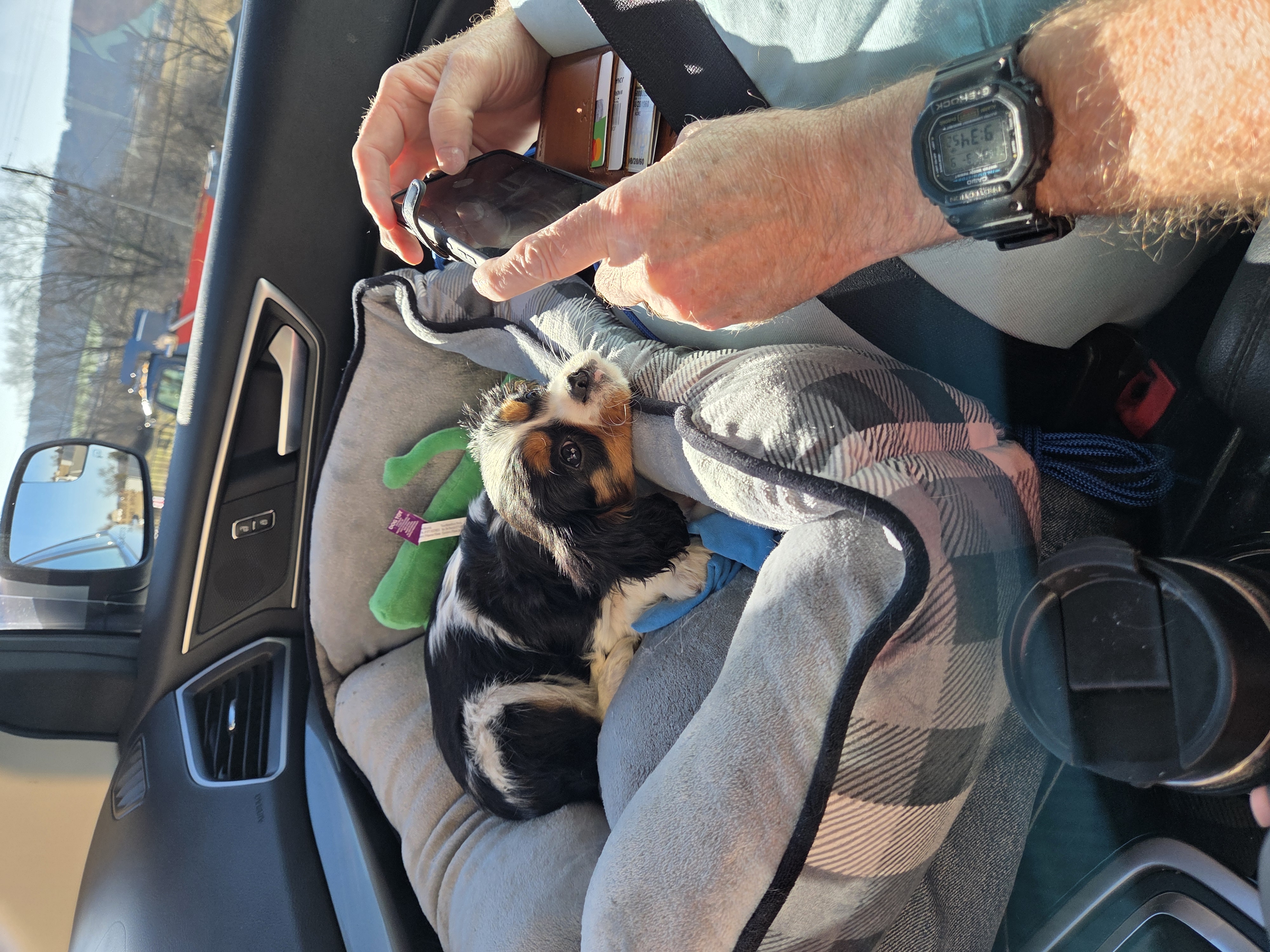 Photo Review Submission from Heidi &Jonathan Rocheleau