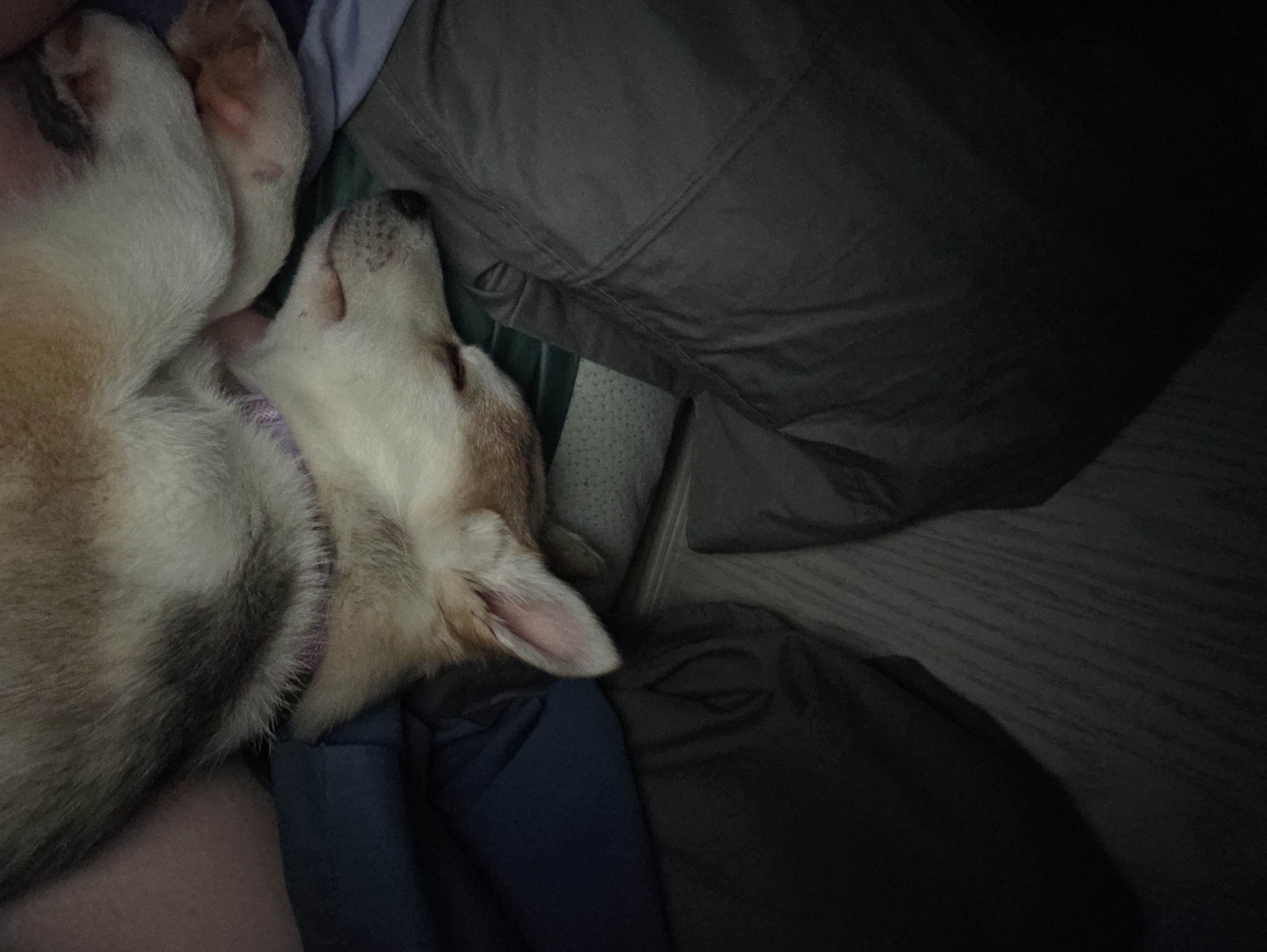 Photo Review Submission from Ashley MOSCATELLO