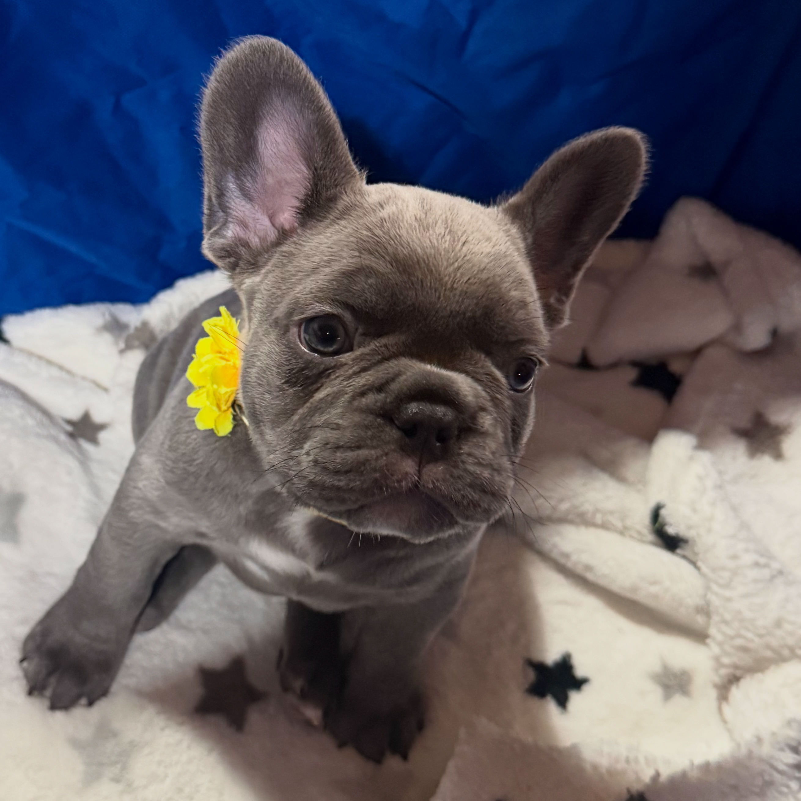 Photo Review Submission from Jamie Cavalieri