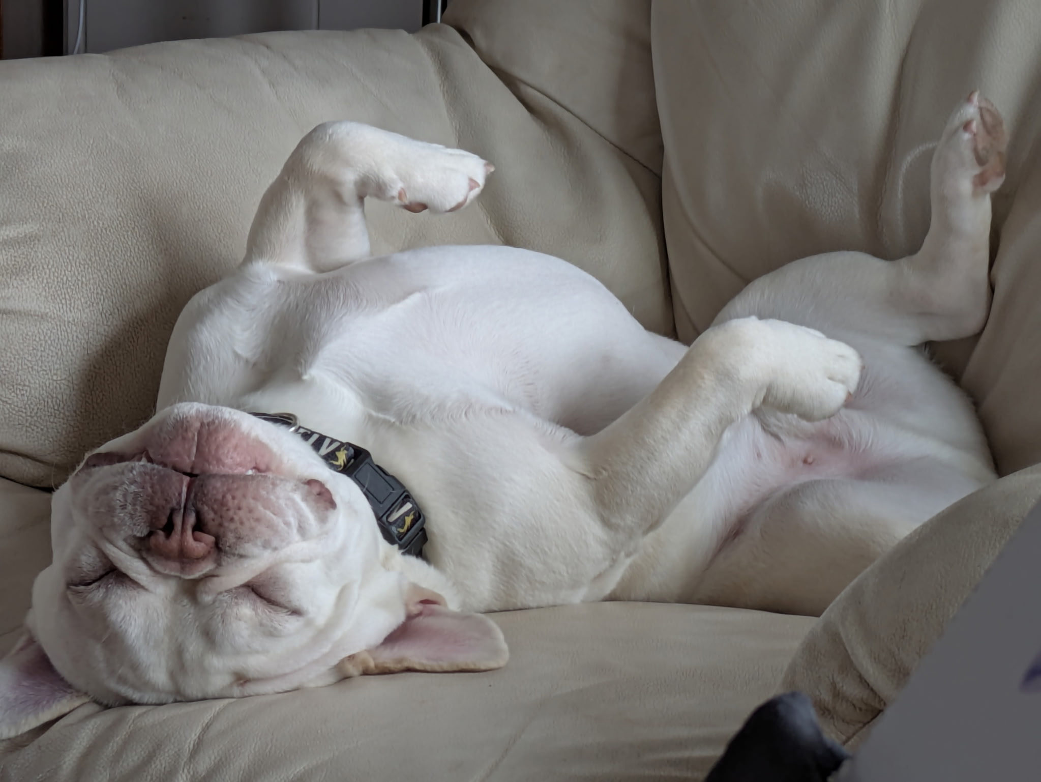 Photo Review Submission from Vanessa Milbyer