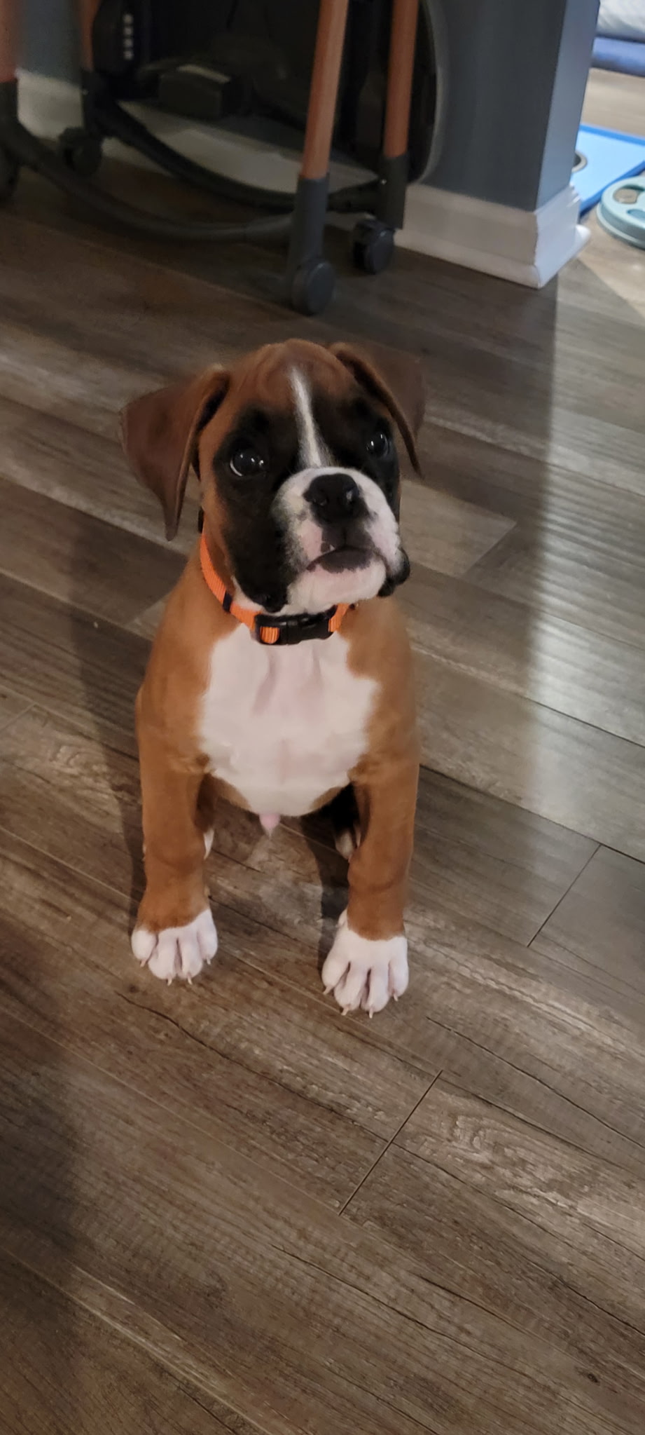 Photo Review Submission from Charles Totman