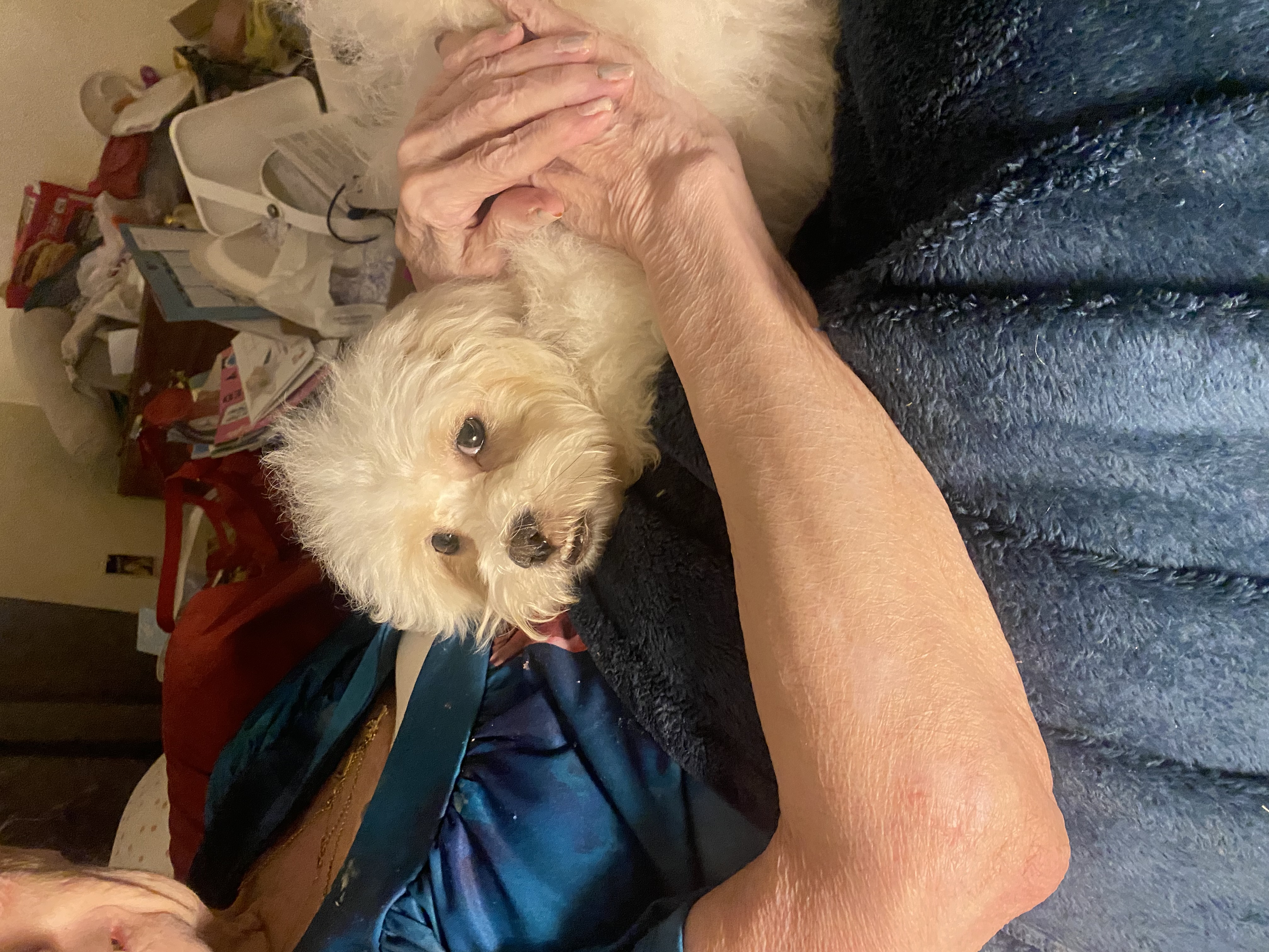 Photo Review Submission from Robin Derence