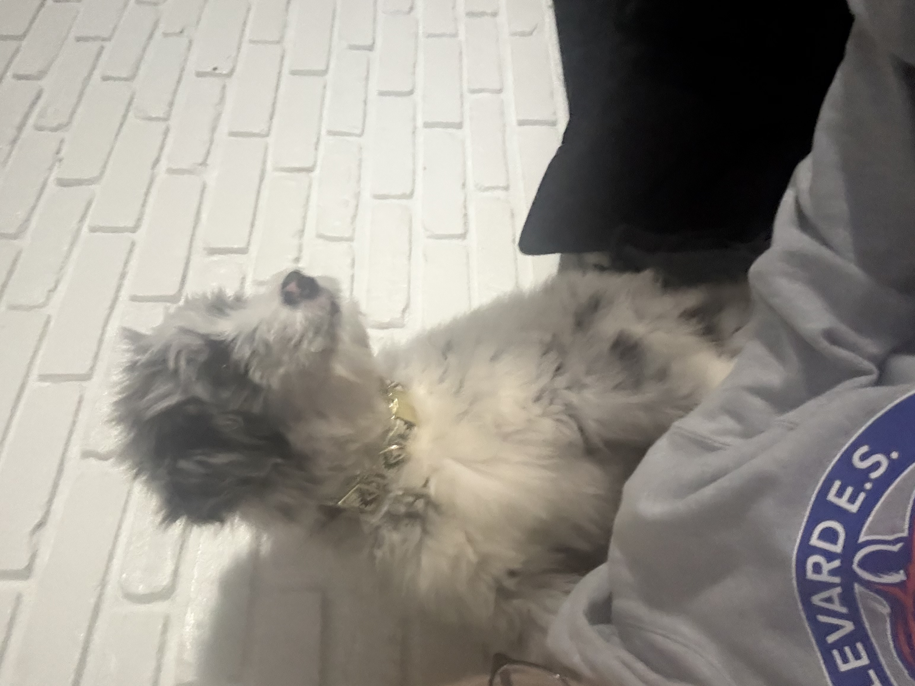 Photo Review Submission from Natassja Baczeski