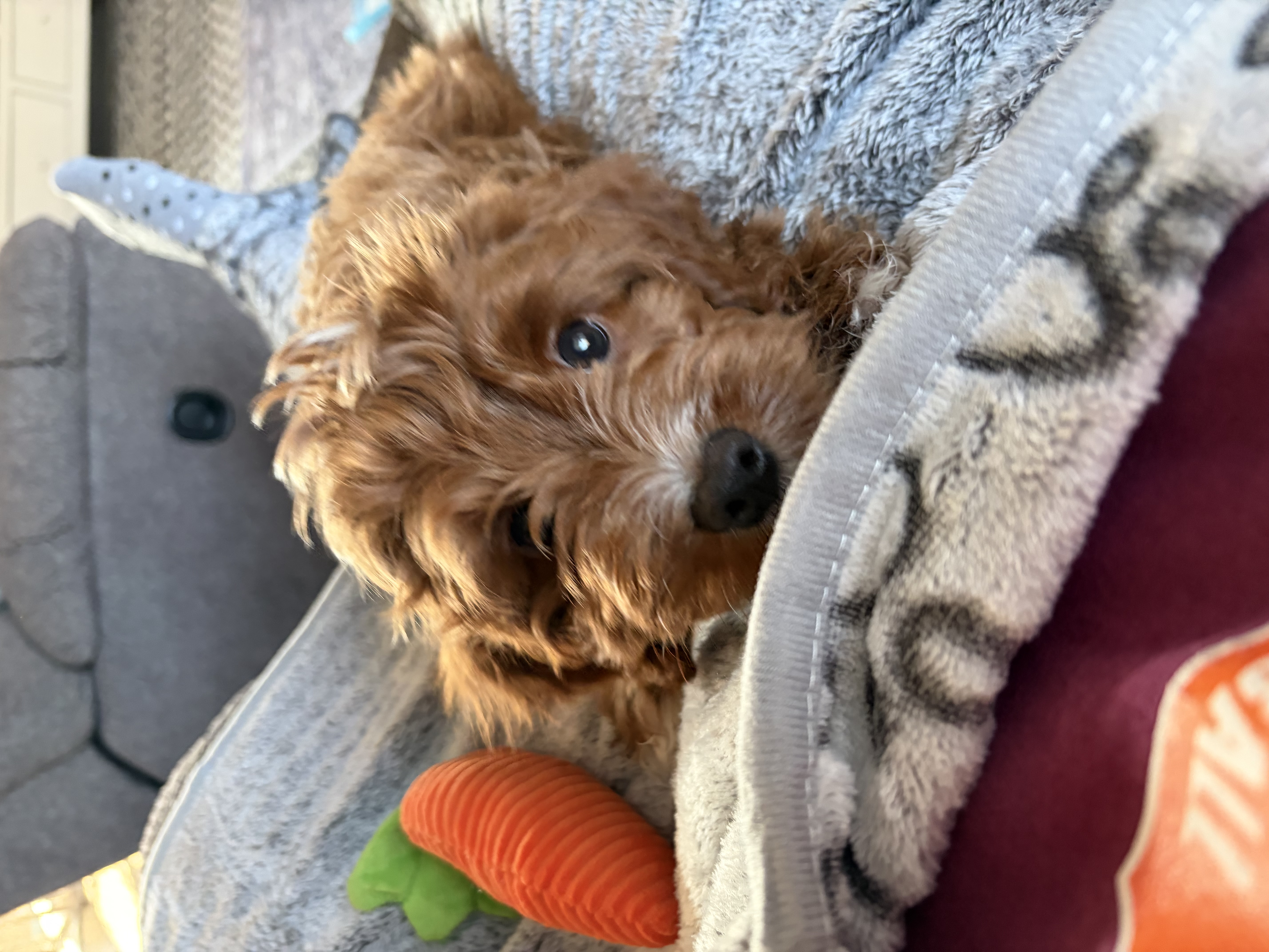 Photo Review Submission from Kelly Jacobs