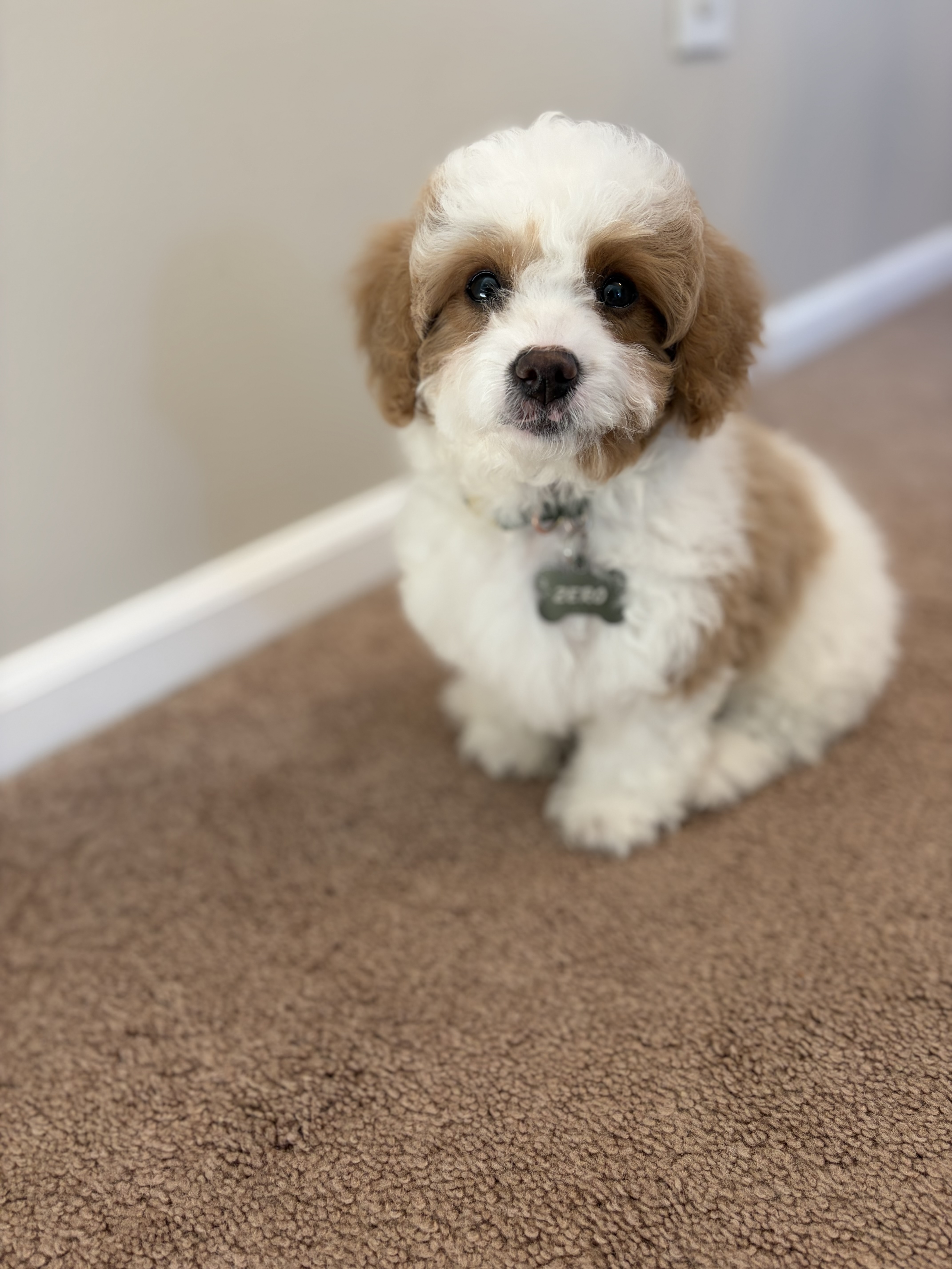 Photo Review Submission from Trudy Tochonyy