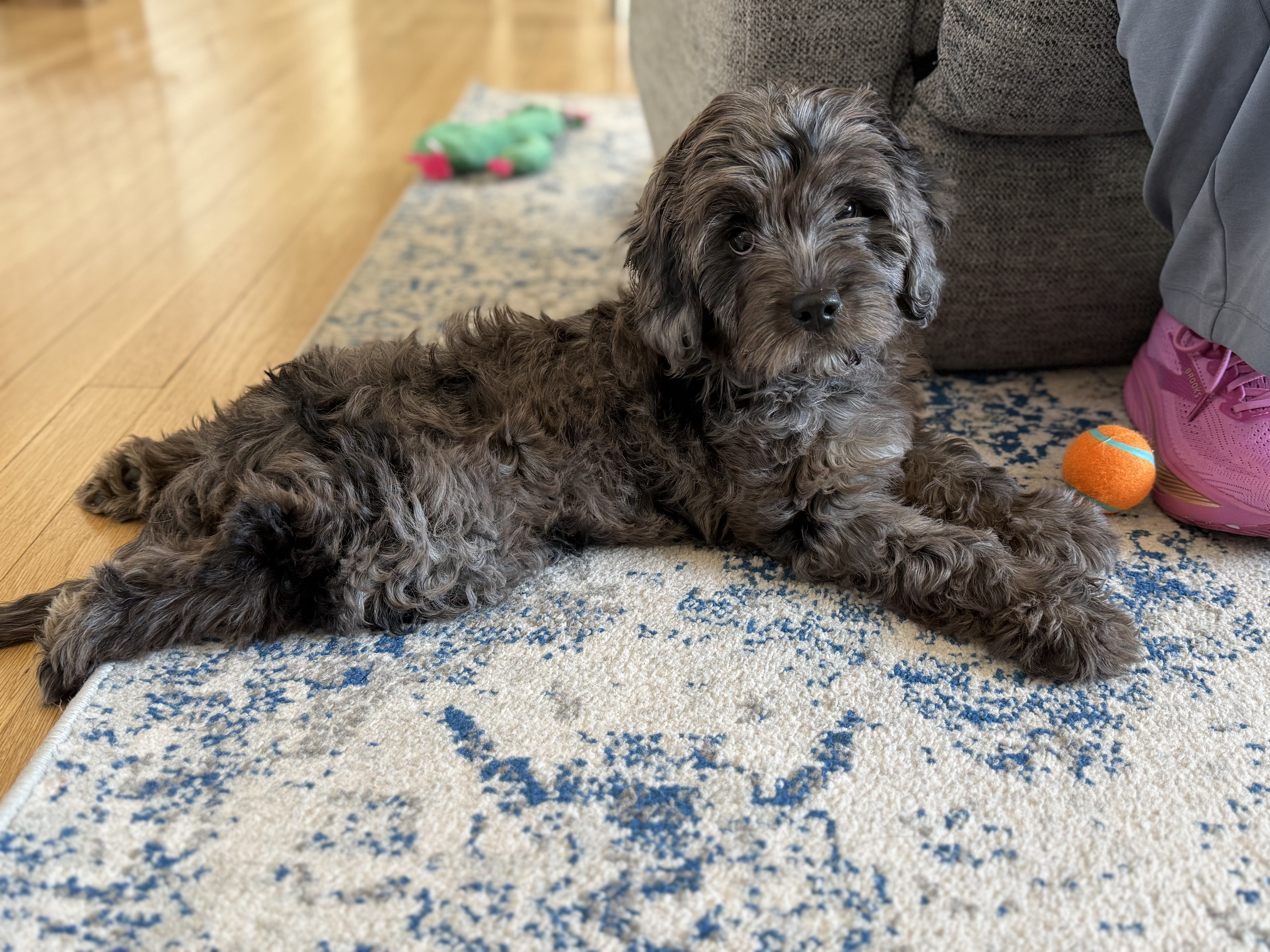 Photo Review Submission from Connor Benton